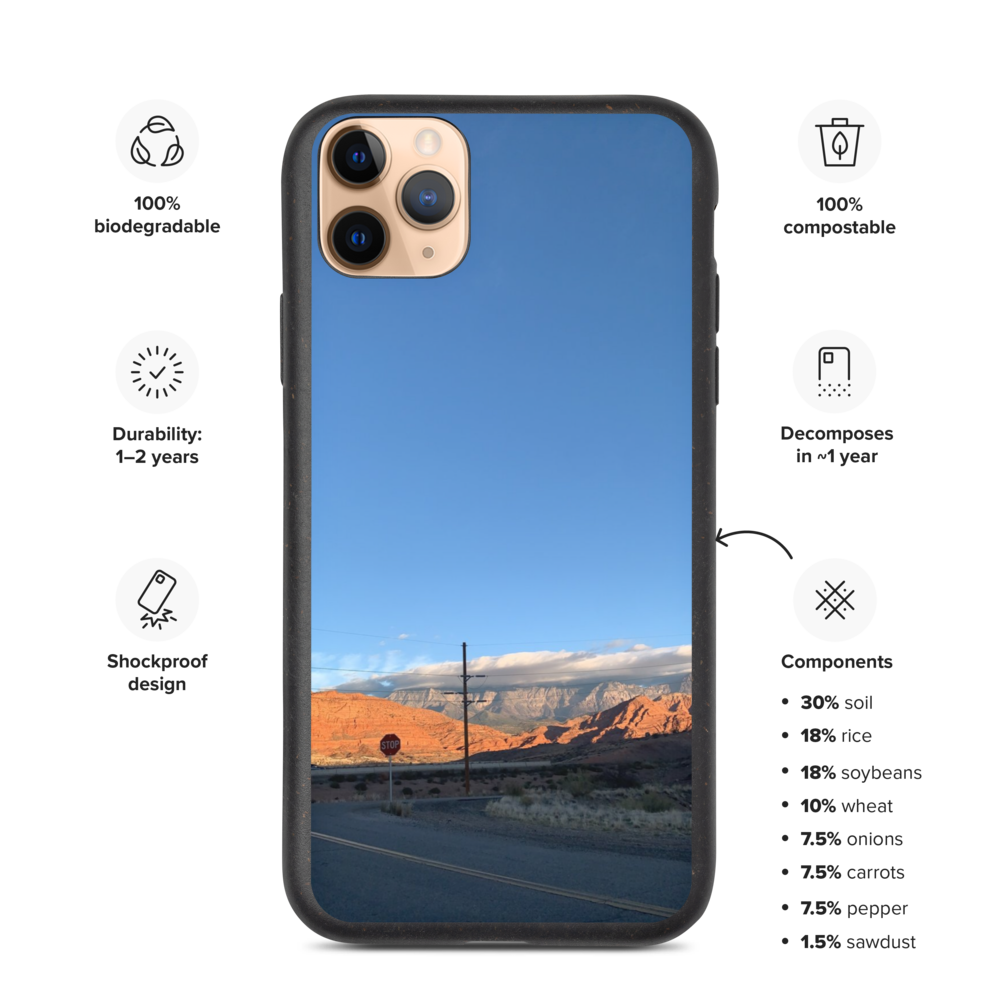 biodegradable-iphone-case-iphone-11-pro-max-case-on-phone-61b60f20cc8c3.png