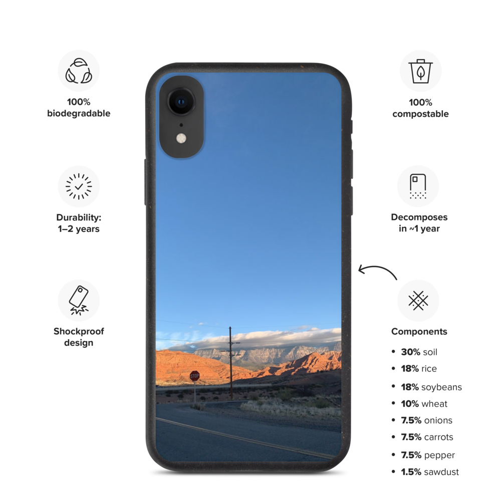 biodegradable-iphone-case-iphone-xr-case-on-phone-61b60f20ccd30.png