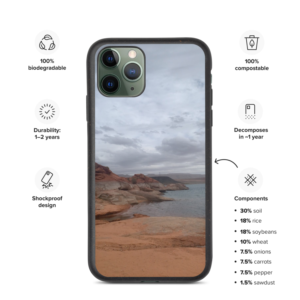 biodegradable-iphone-case-iphone-11-pro-case-on-phone-61b614c0a7289.png
