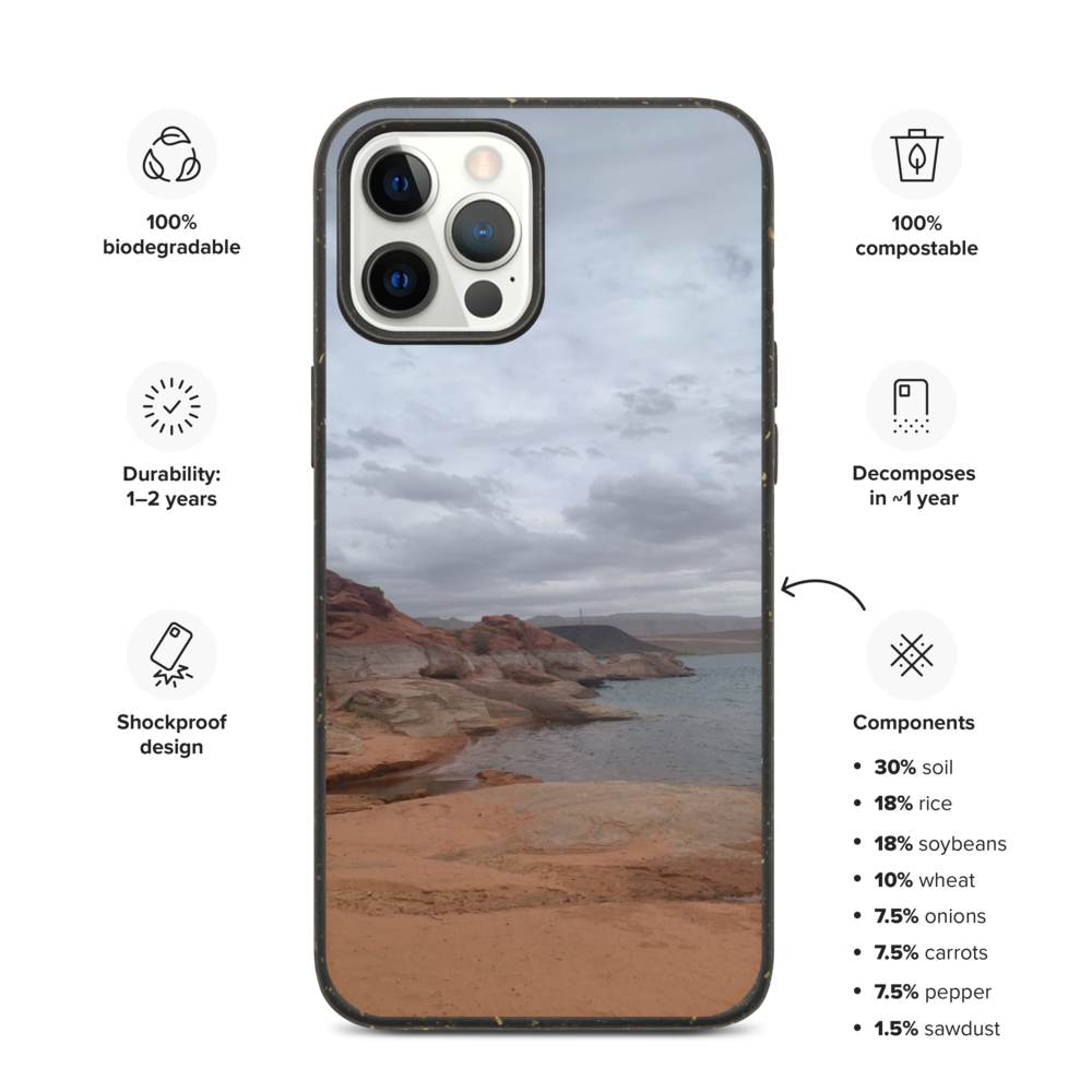 biodegradable-iphone-case-iphone-12-pro-max-case-on-phone-61b614c0a7546.png
