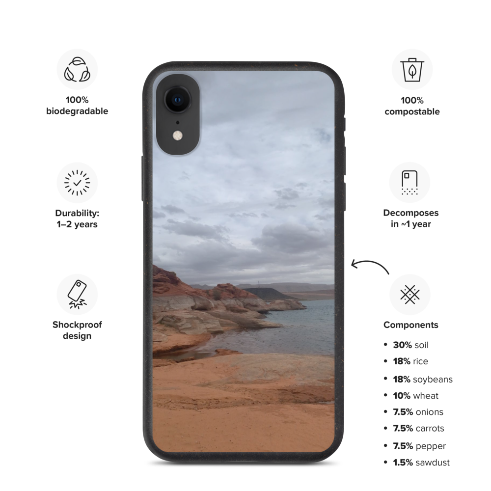 biodegradable-iphone-case-iphone-xr-case-on-phone-61b614c0a77ae.png