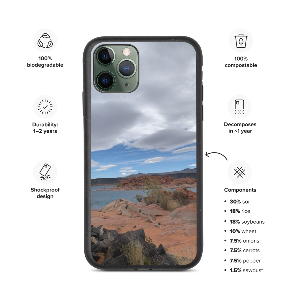 biodegradable-iphone-case-iphone-11-pro-case-on-phone-61b898d261bed.png