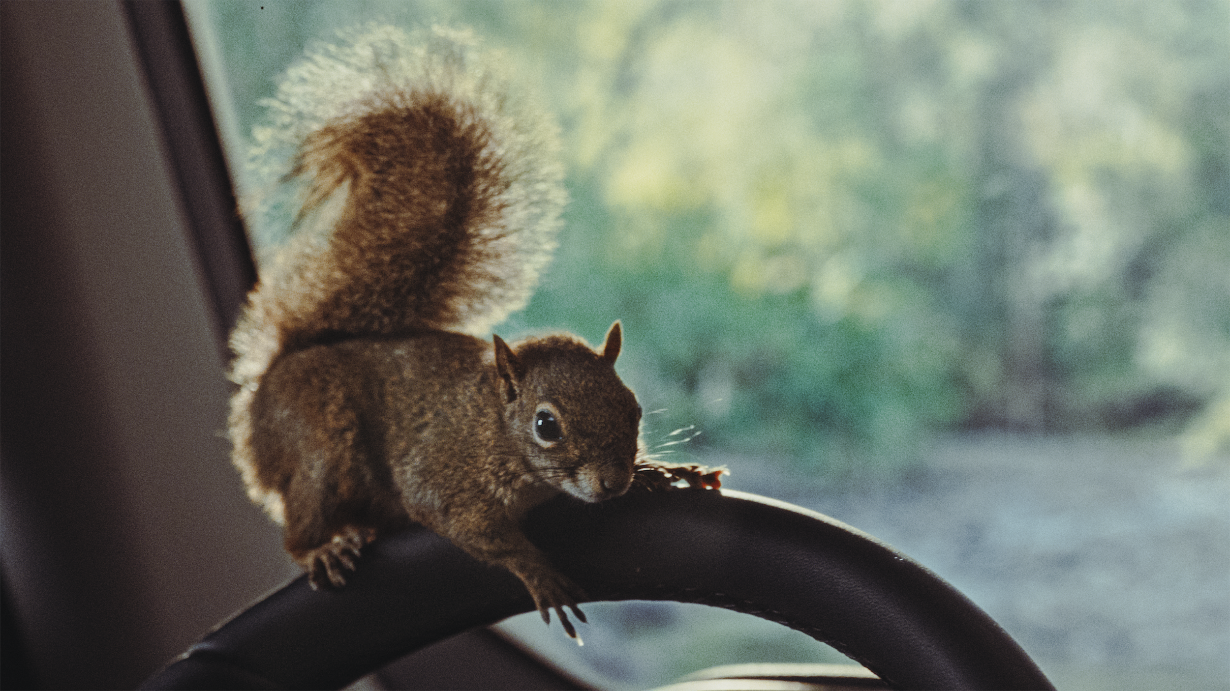 Screenshot 2025-08-06 at 20.21.31.png