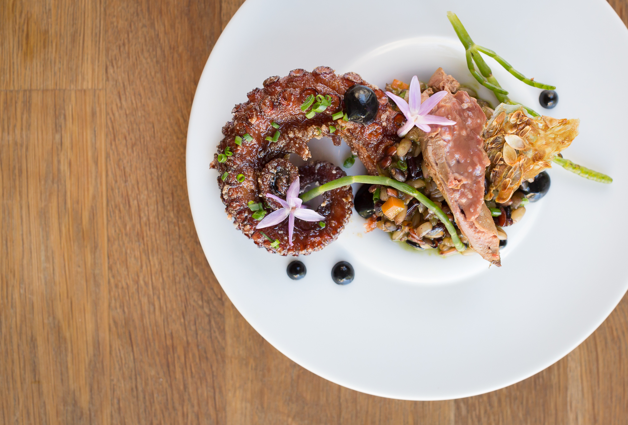 octopus dandelion/burnt honey/barley/squid ink fluid/cucumber seed/xo black garlic sherry