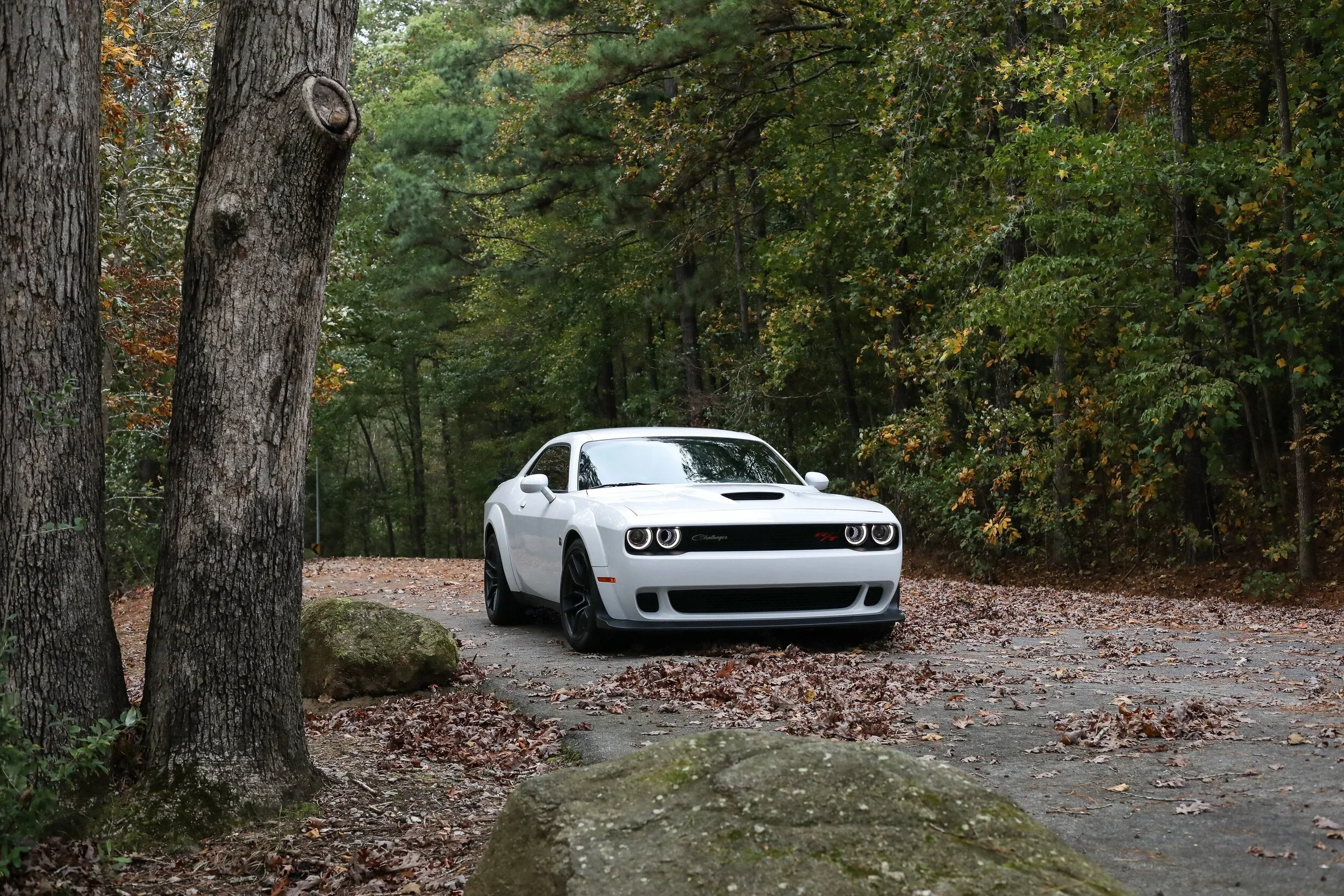 Widebody+Challenger-0617.webp