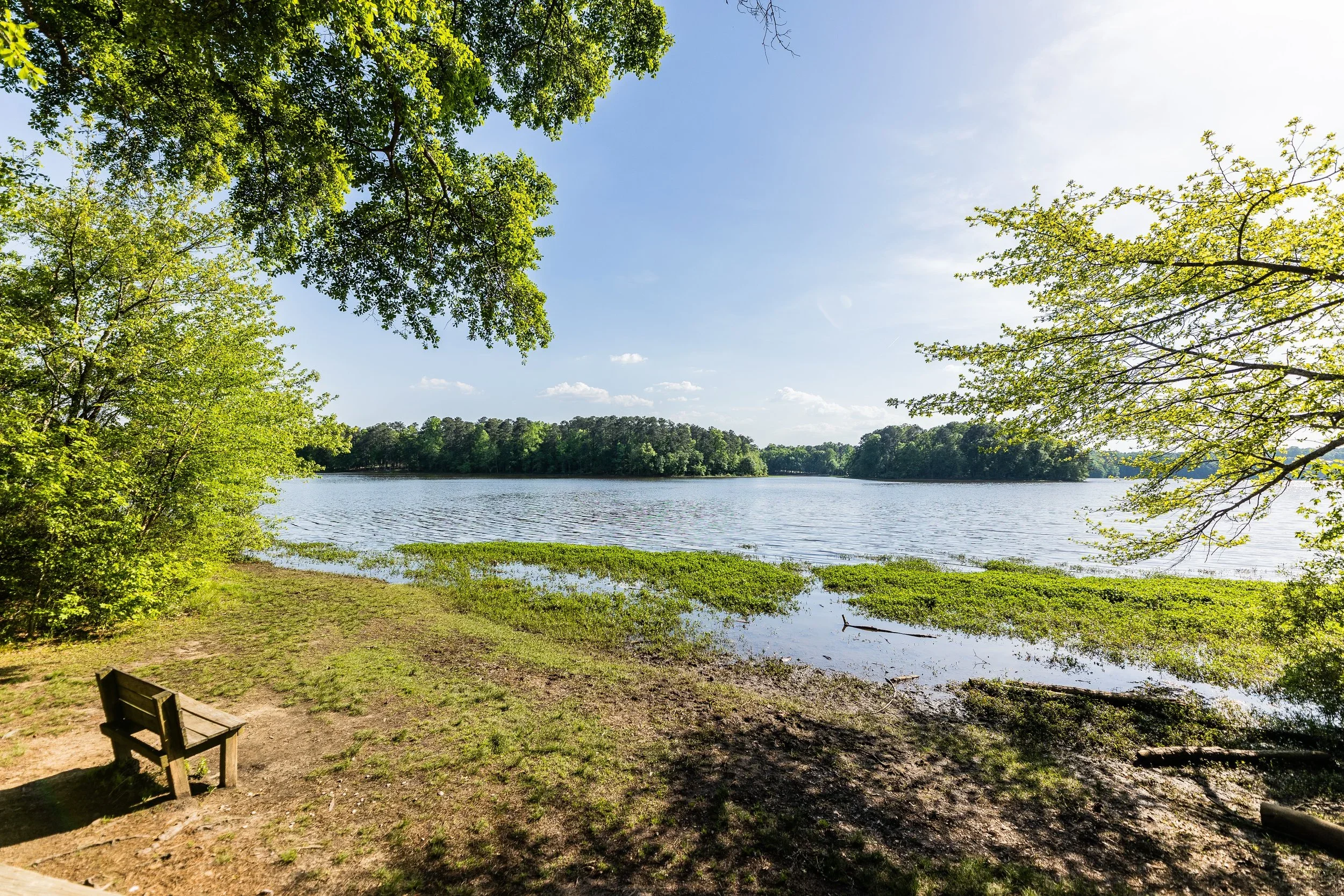 Lake+Benson+Park+of+Garner+photo+by+Keenan+Hairston-4749.webp