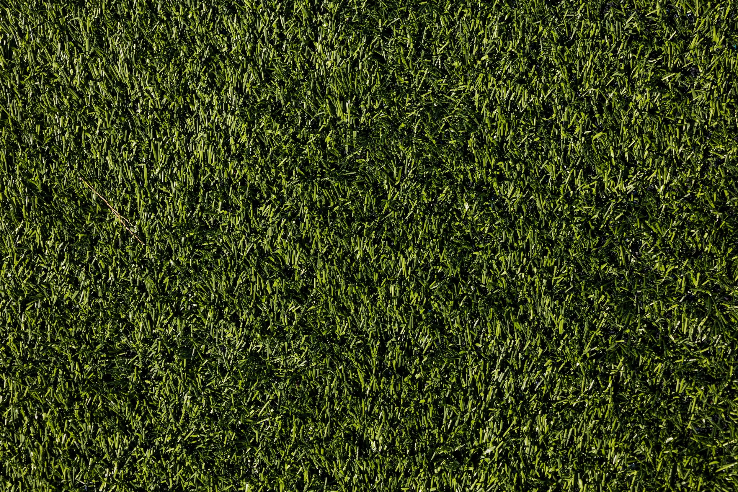 Drive for the Cure 250 2024-4514.jpg