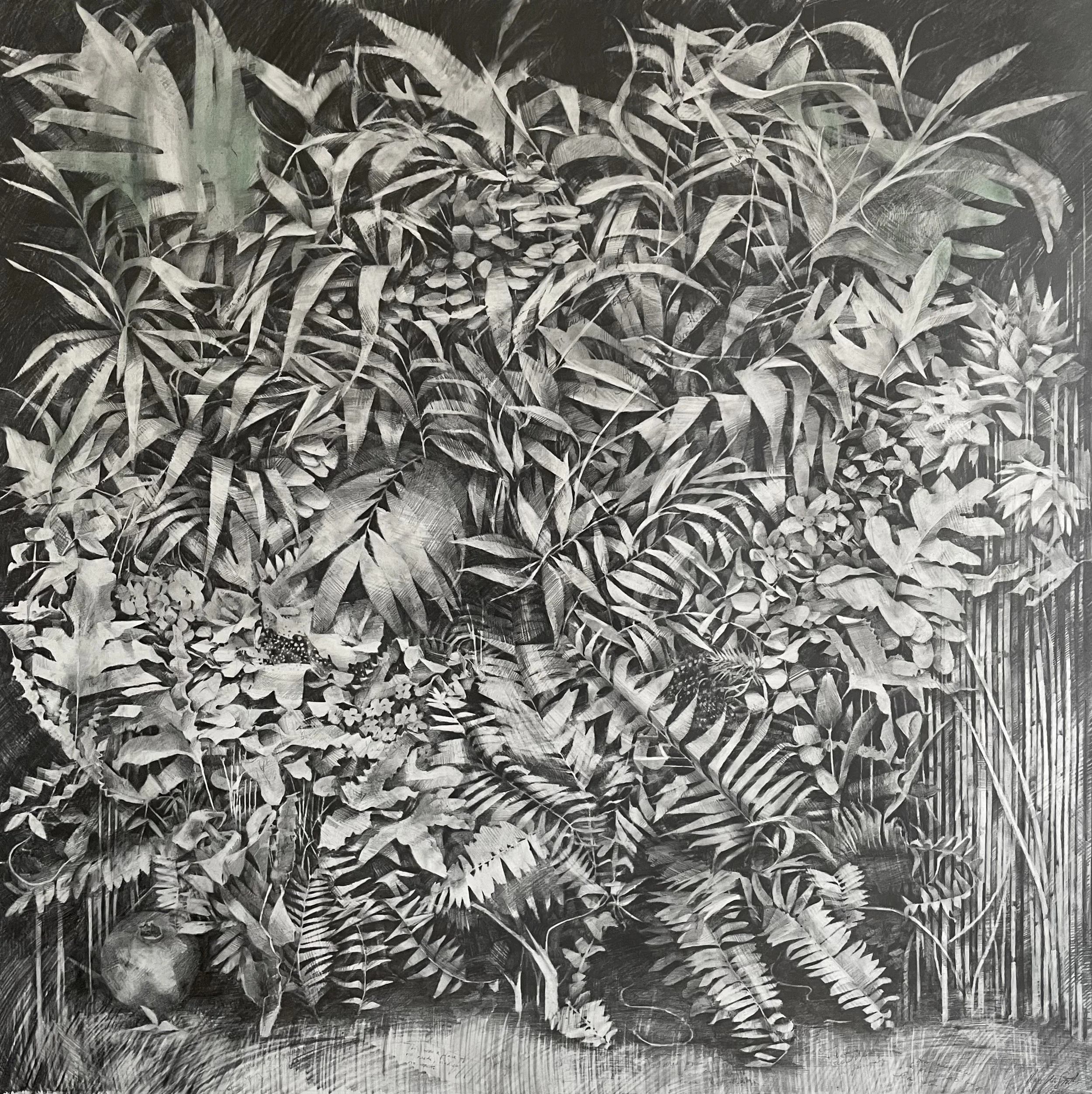 Private client | graphite and pigment on paper. 44” x 44” / 112 x 112 cm