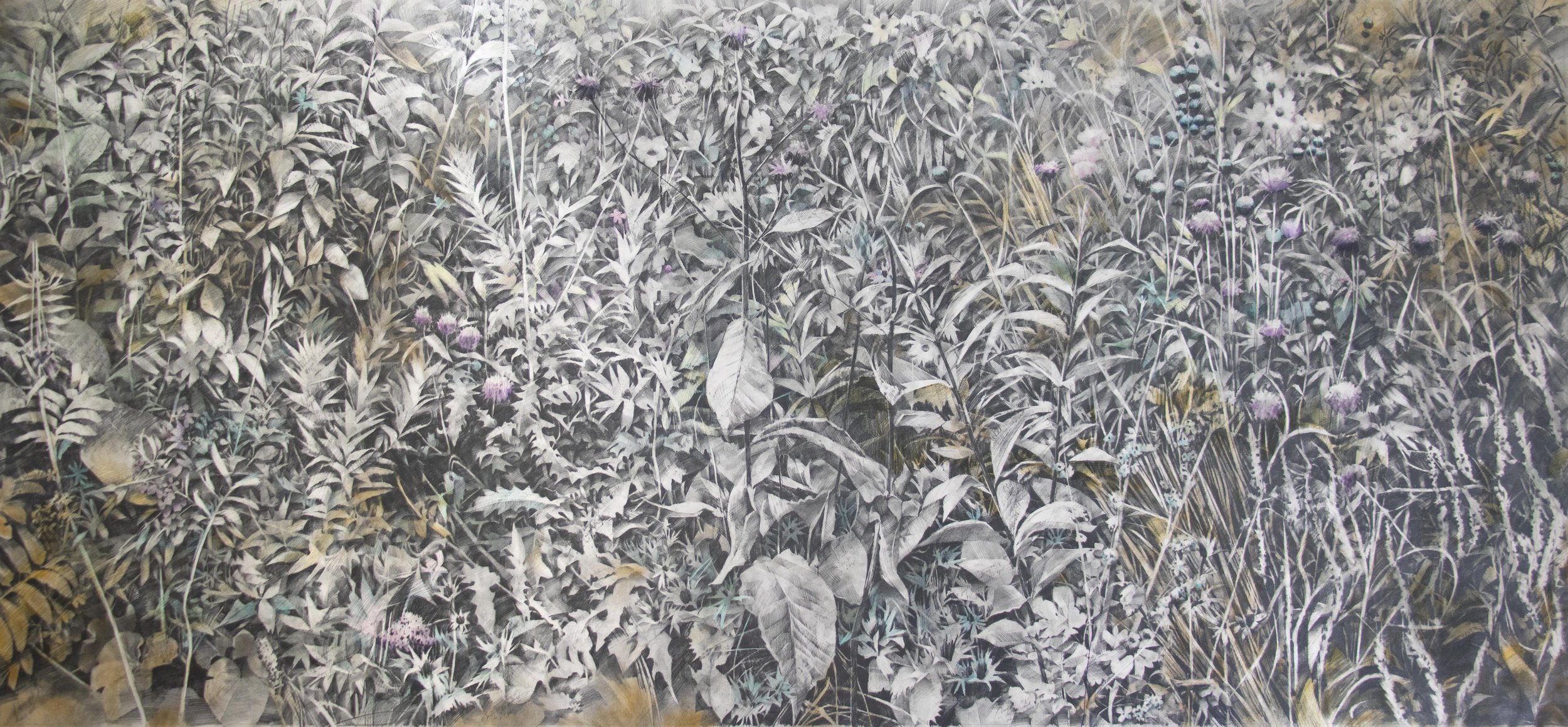 UT Southwestern Medical Cancer Center | graphite and pigment on paper. 40” x 90” / 101 x 229 cm