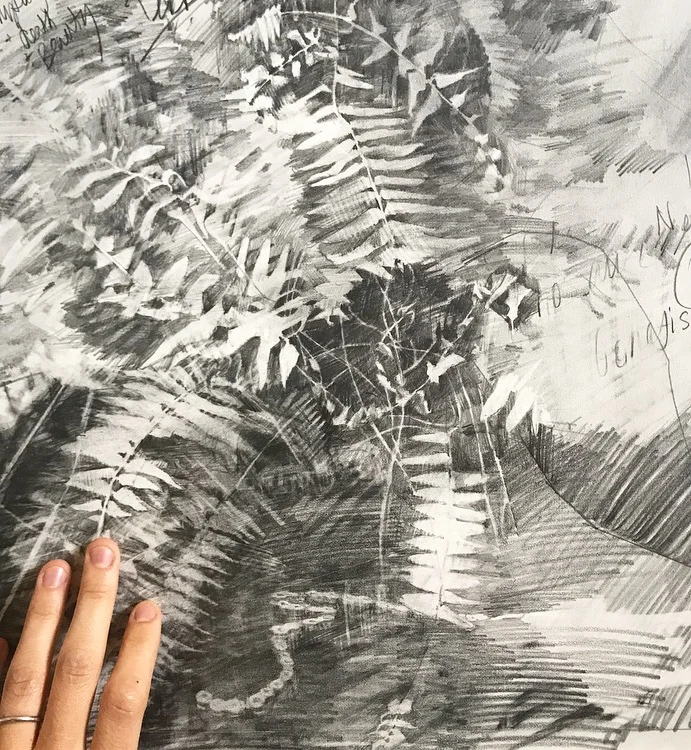 Fossils (detail). 2018, graphite on paper, 55 x 55 inches