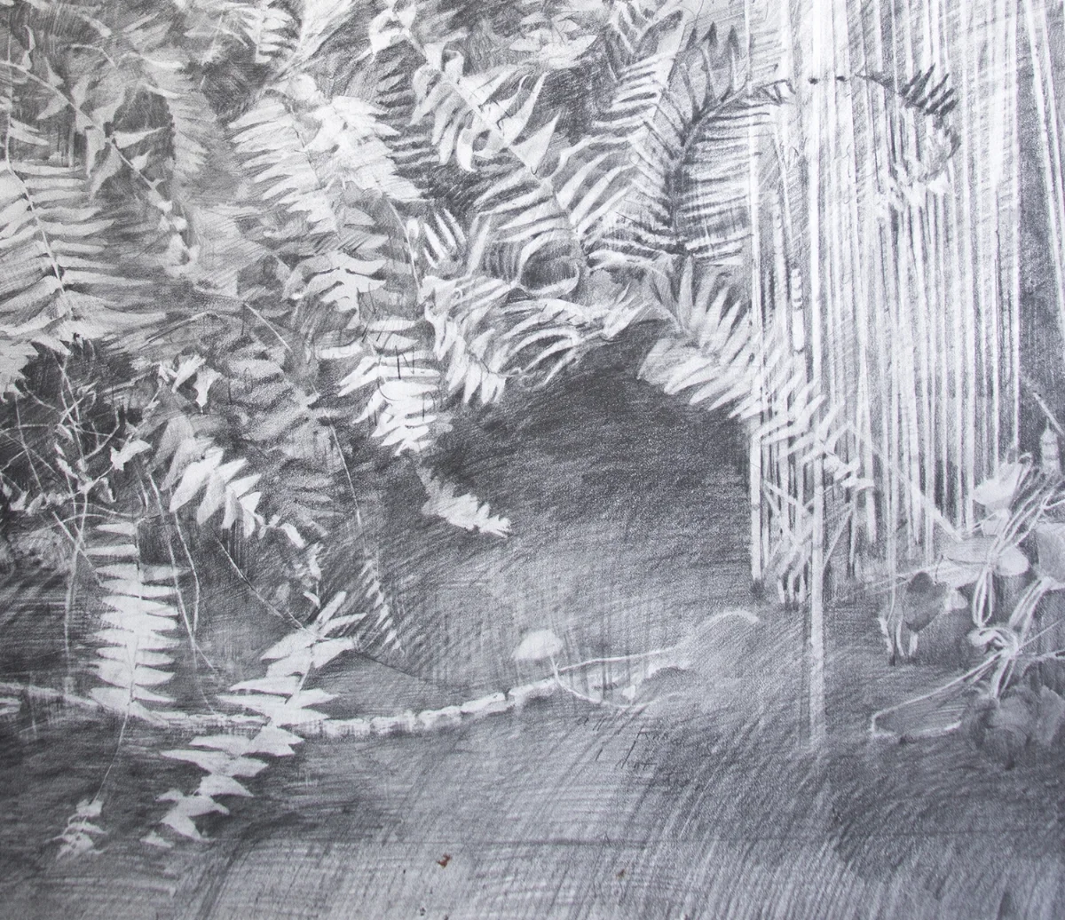 Fossils (detail). 2018, graphite on paper, 55 x 55 inches