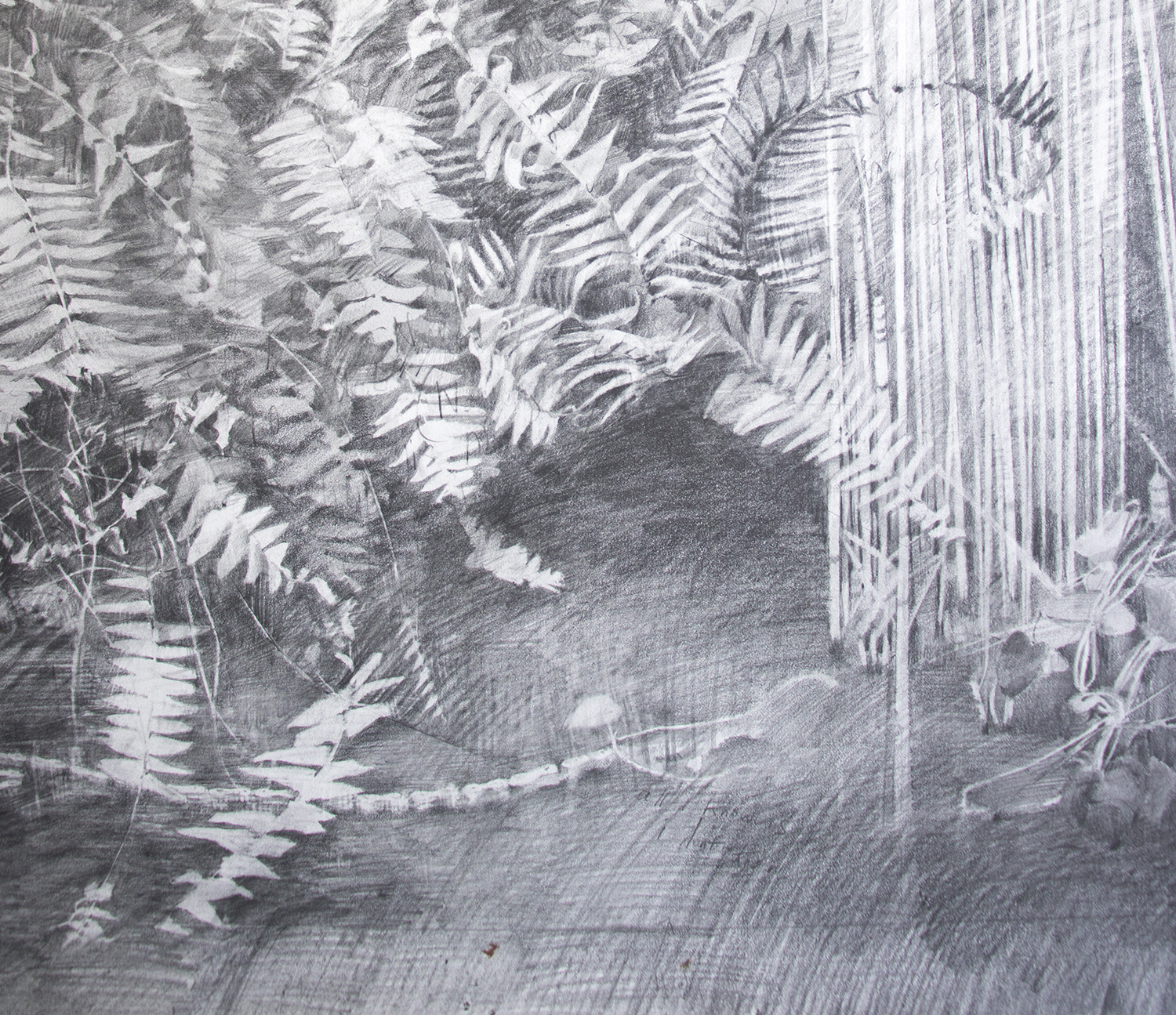detail fossils3.jpg