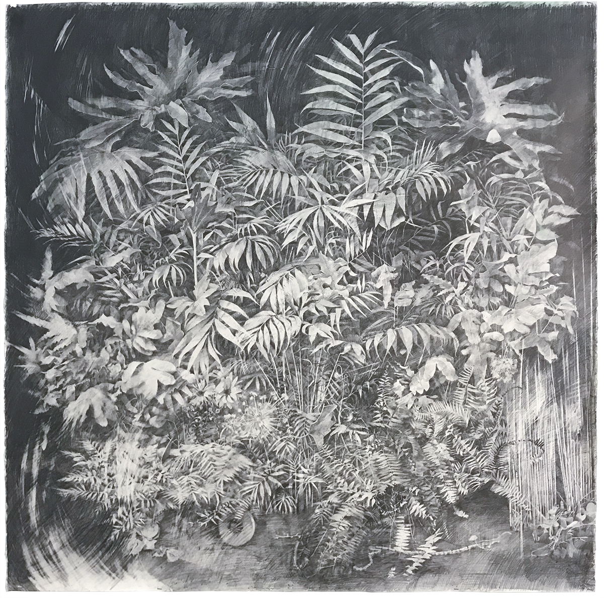 Rachel Wolfson Smith - fossils copy.jpg