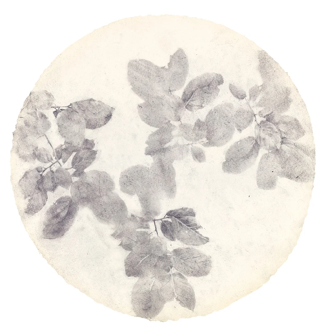 Circle. 2019, graphite on handmade paper, 15 x 15 inches