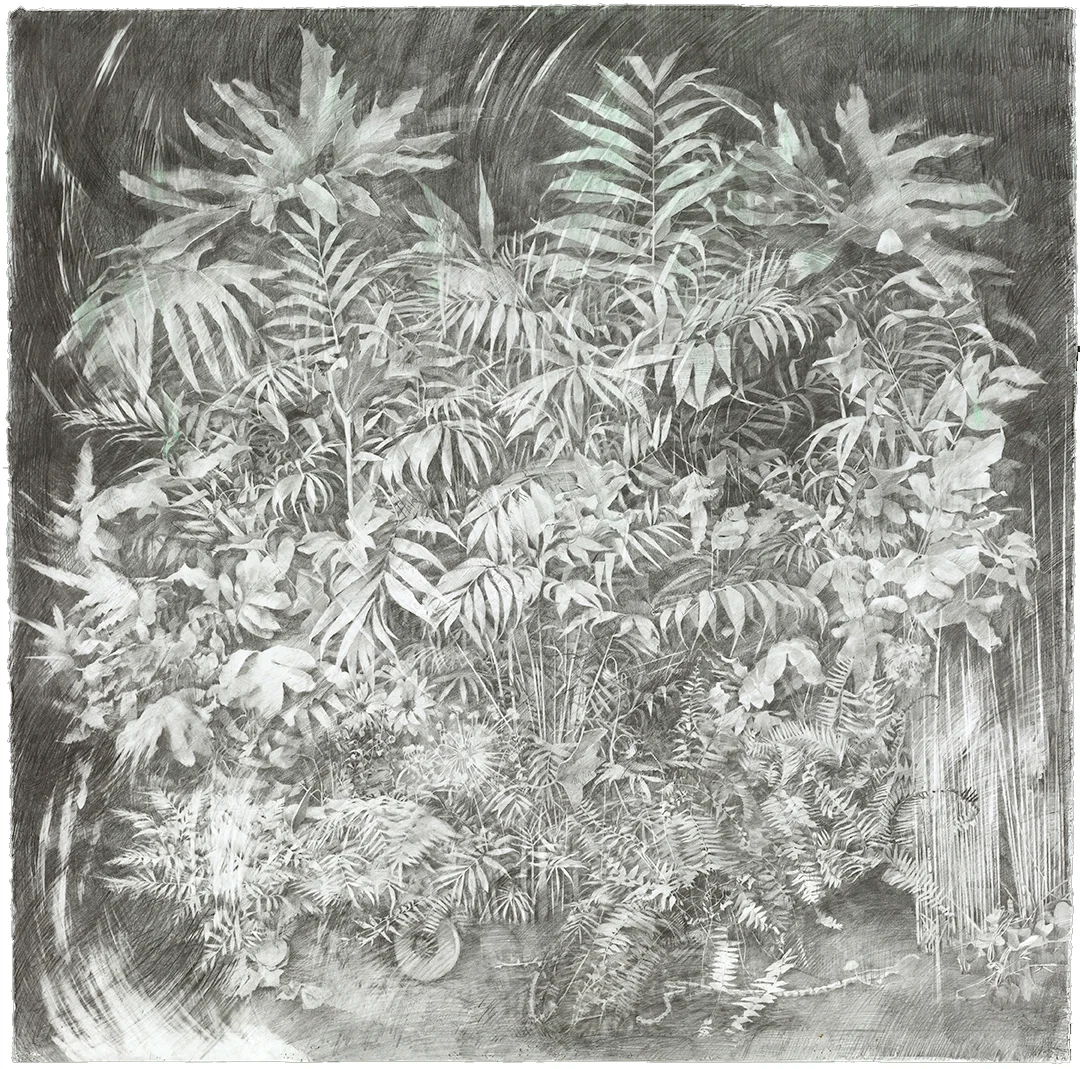 Fossils. 2018, graphite and pigment on paper, 55 x 55 inches