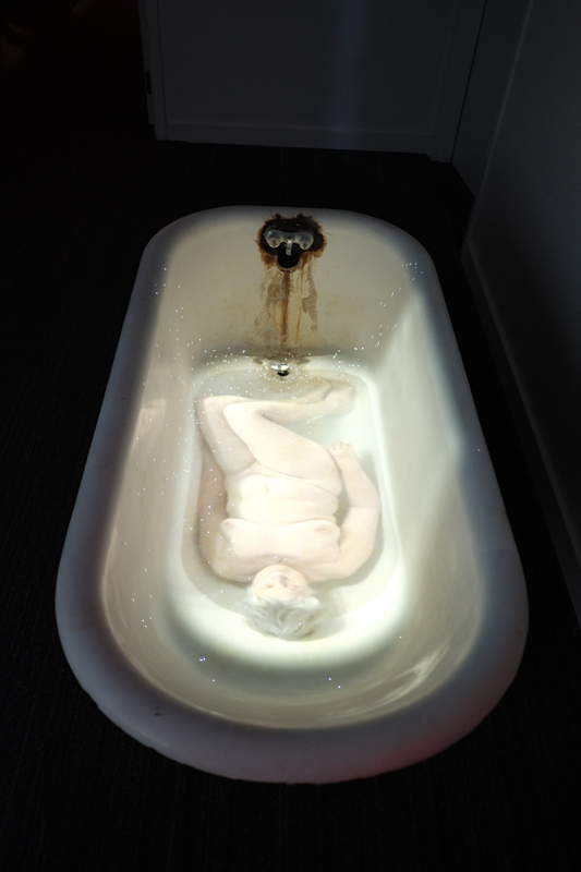DSCF2364.jpg