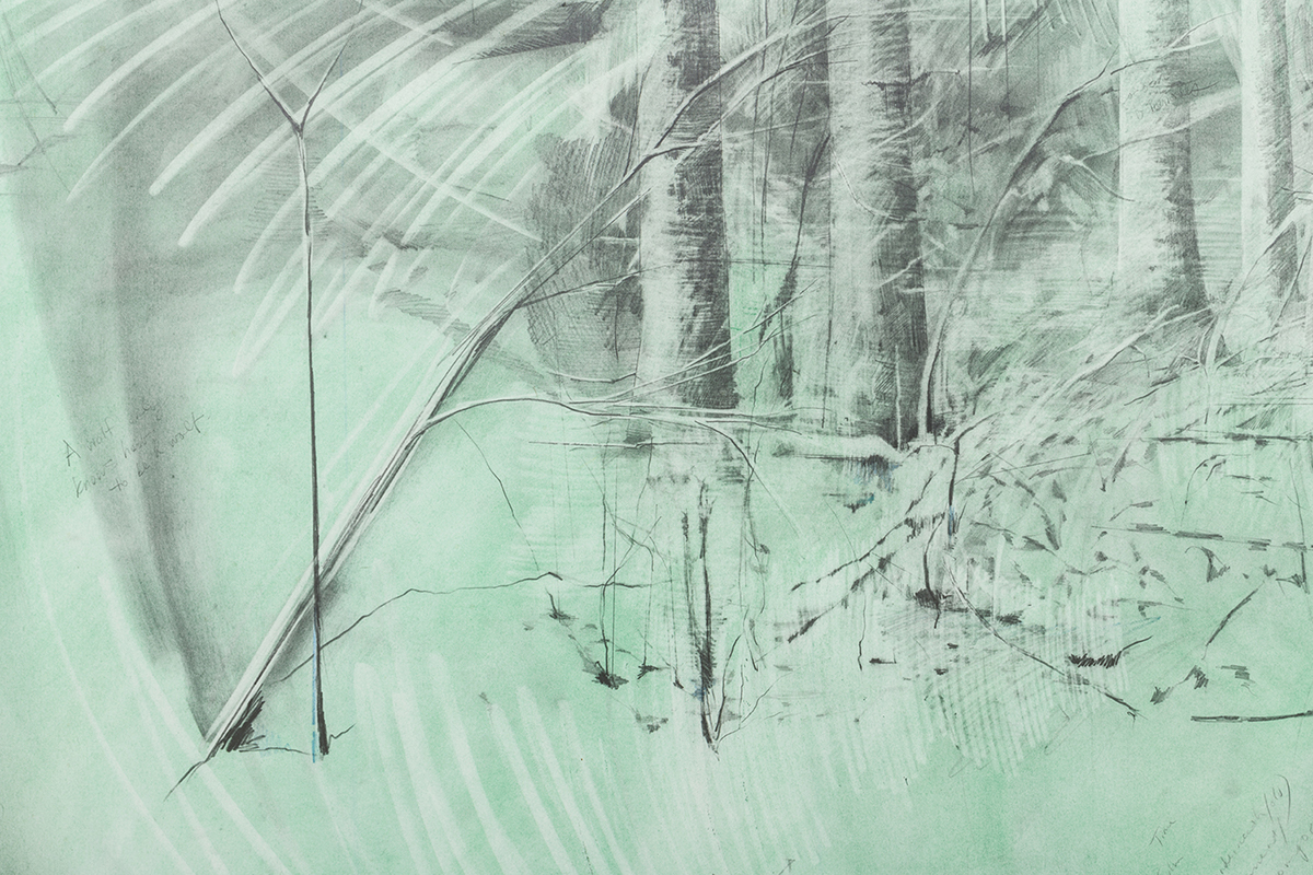 The Cabin (detail). 2018, graphite and pigment on paper, 8.6 x 4.5 feet
