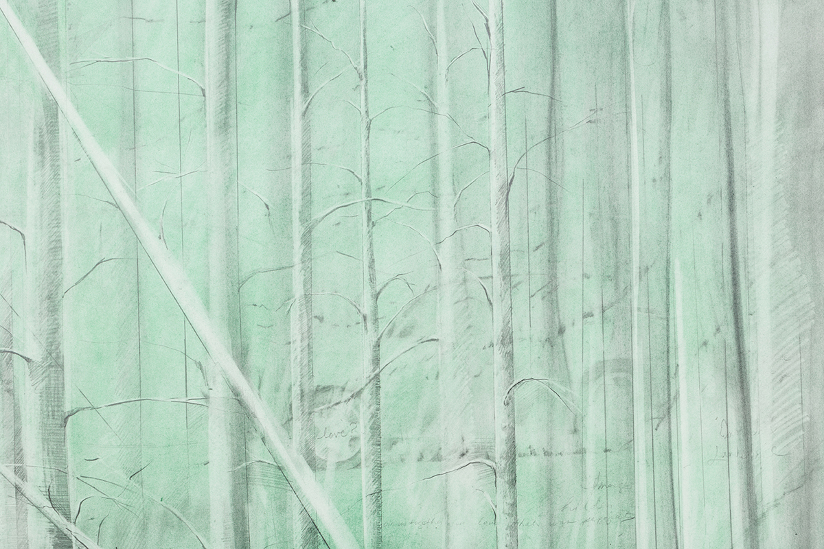 The Cabin (detail). 2018, graphite and pigment on paper, 8.6 x 4.5 feet
