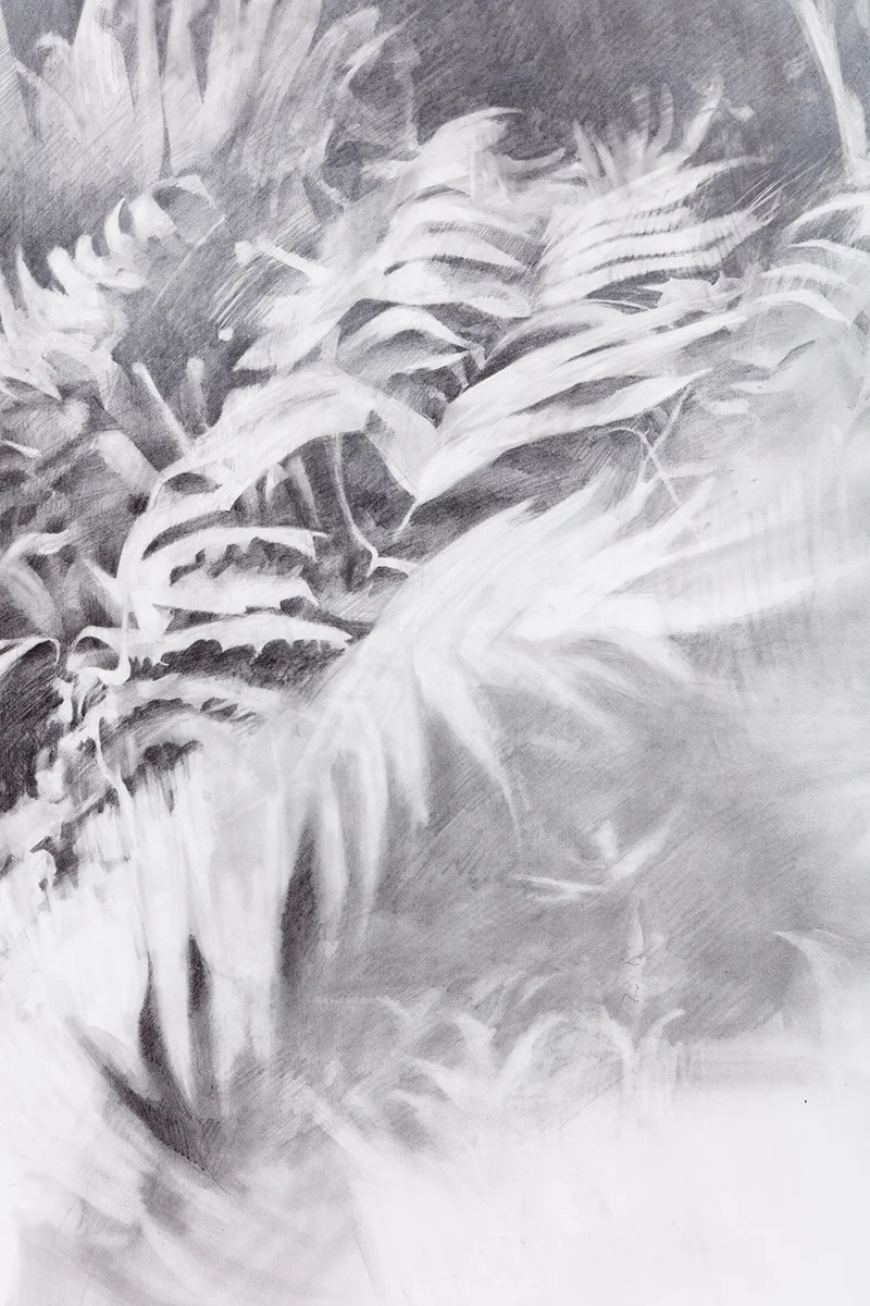 Triptych (detail 2). 2019, graphite and pigment on paper, 8.6 x 13.5 feet