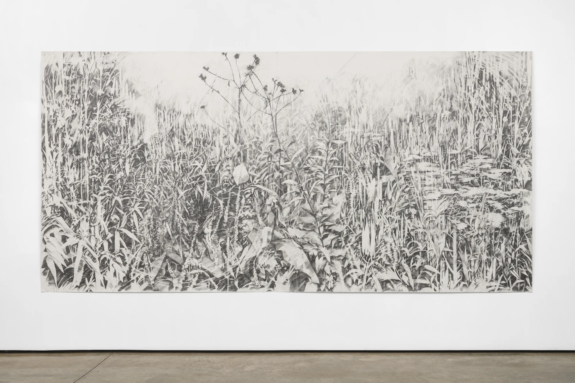 Void #2. 2019, graphite and pigment on paper, 6 x 12 feet - Image by Colin Doyle