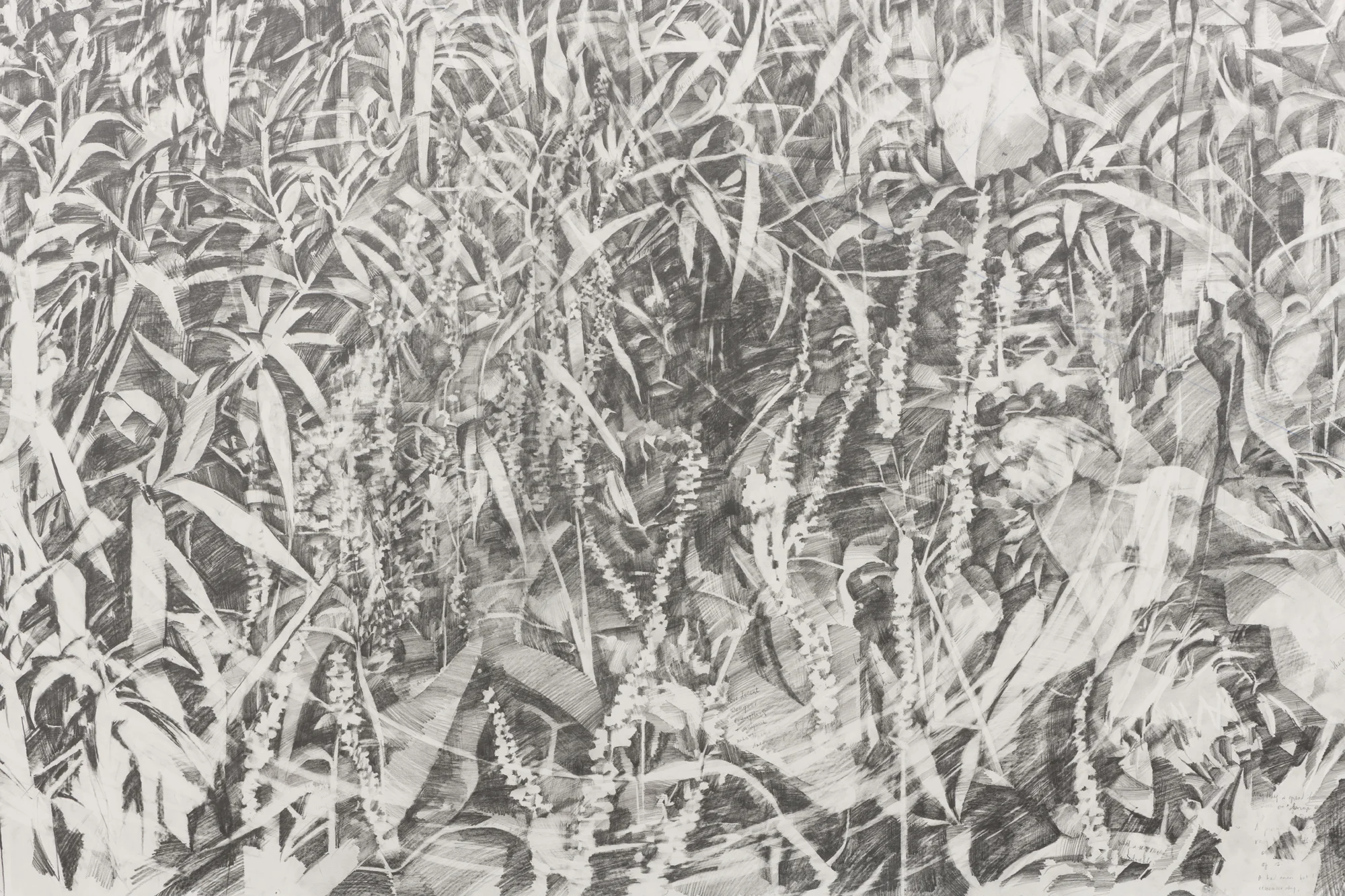Void #2, detail. 2019, graphite and pigment on paper, 6 x 12 feet - Image by Colin Doyle
