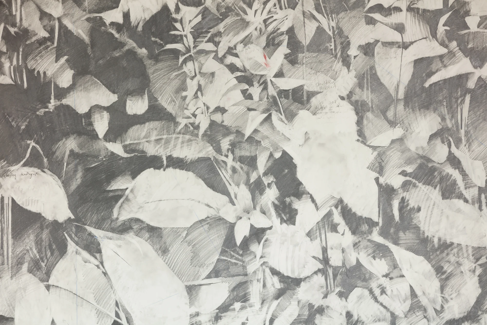 Void #1, detail. 2019, graphite and pigment on paper, 6 x 12 feet