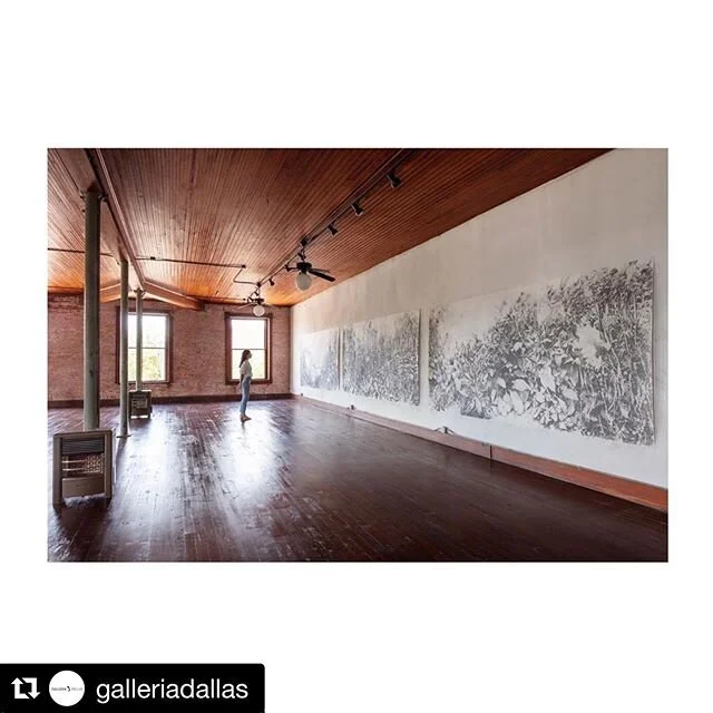 Thanks for the shoutout @galleriadallas &amp; @erincluleygallery ! .#Repost @galleriadallas
・・・
Congratulations Rachel Wolfson Smith, @wolfsonsmith you are one of @erincluleygallery&rsquo;s favorite works of art. Thank you for submitting and we look 