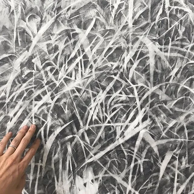 Grass details from the new drawing

No one will remember we were here
6&rsquo; x 12&rsquo;#graphite on paper
2020