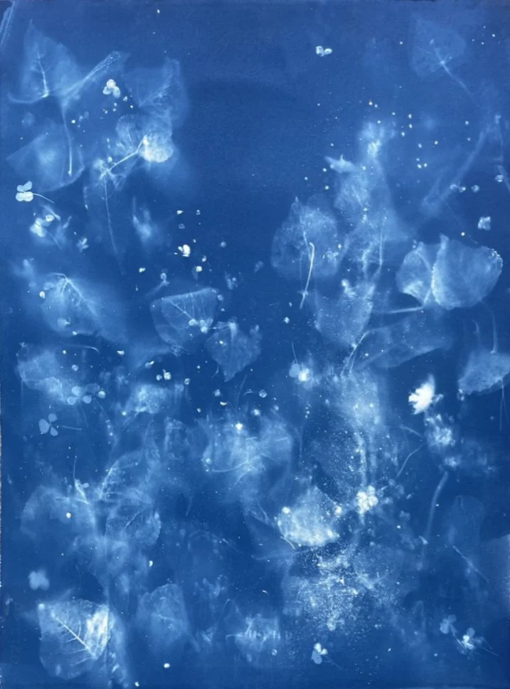 The Future is Behind Us (Copy)