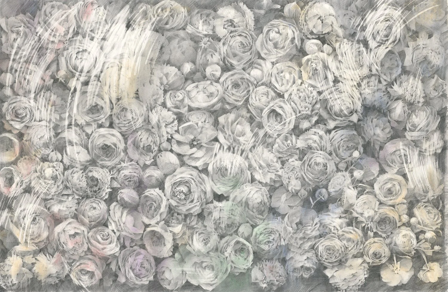 We as Pieces Reflect the Whole /graphite and pigment on paper 34” x 52” / 86.36 x 132.08 cm / 39¼ x 57 in. (framed)