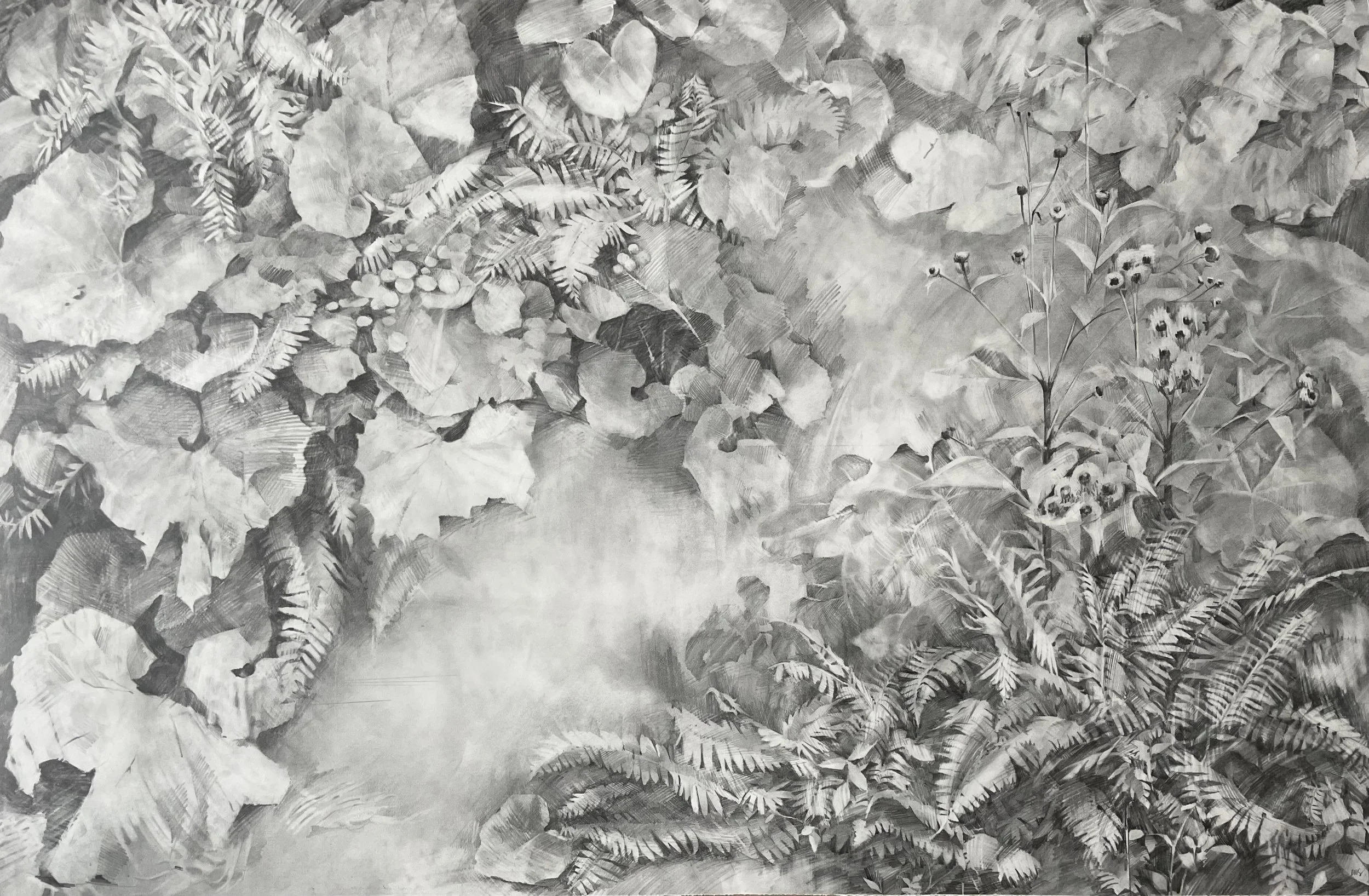 Norwegian Cruise Line | graphite on paper. 34” x 52” / 86 x 132 cm