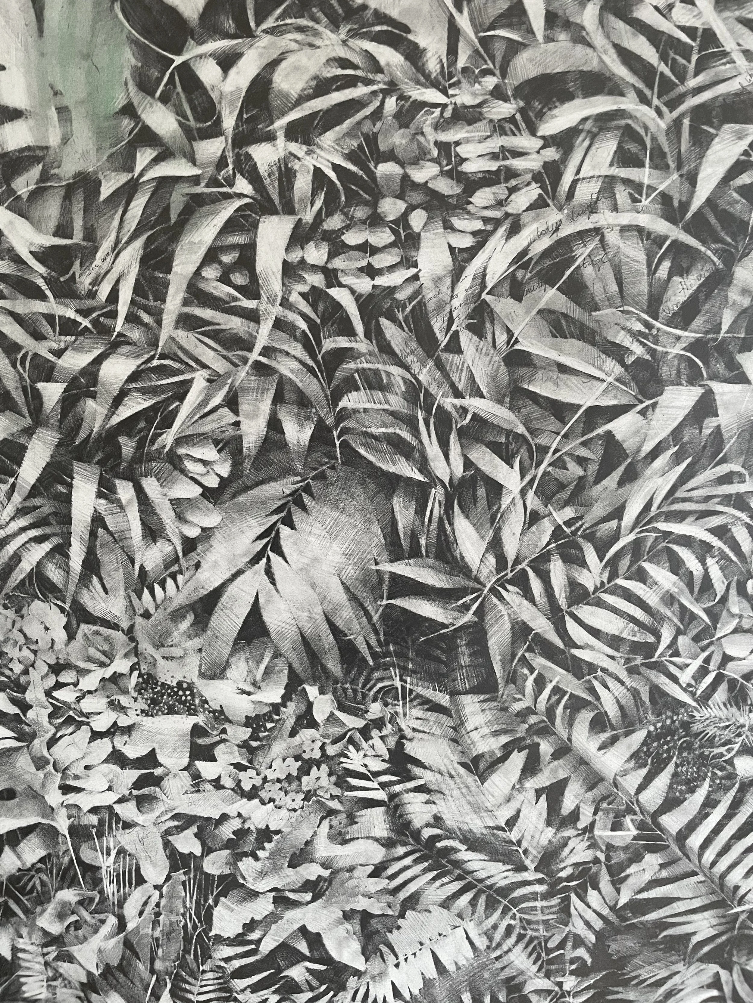 Detail: Private client | graphite and pigment on paper. 44” x 44” / 112 x 112 cm