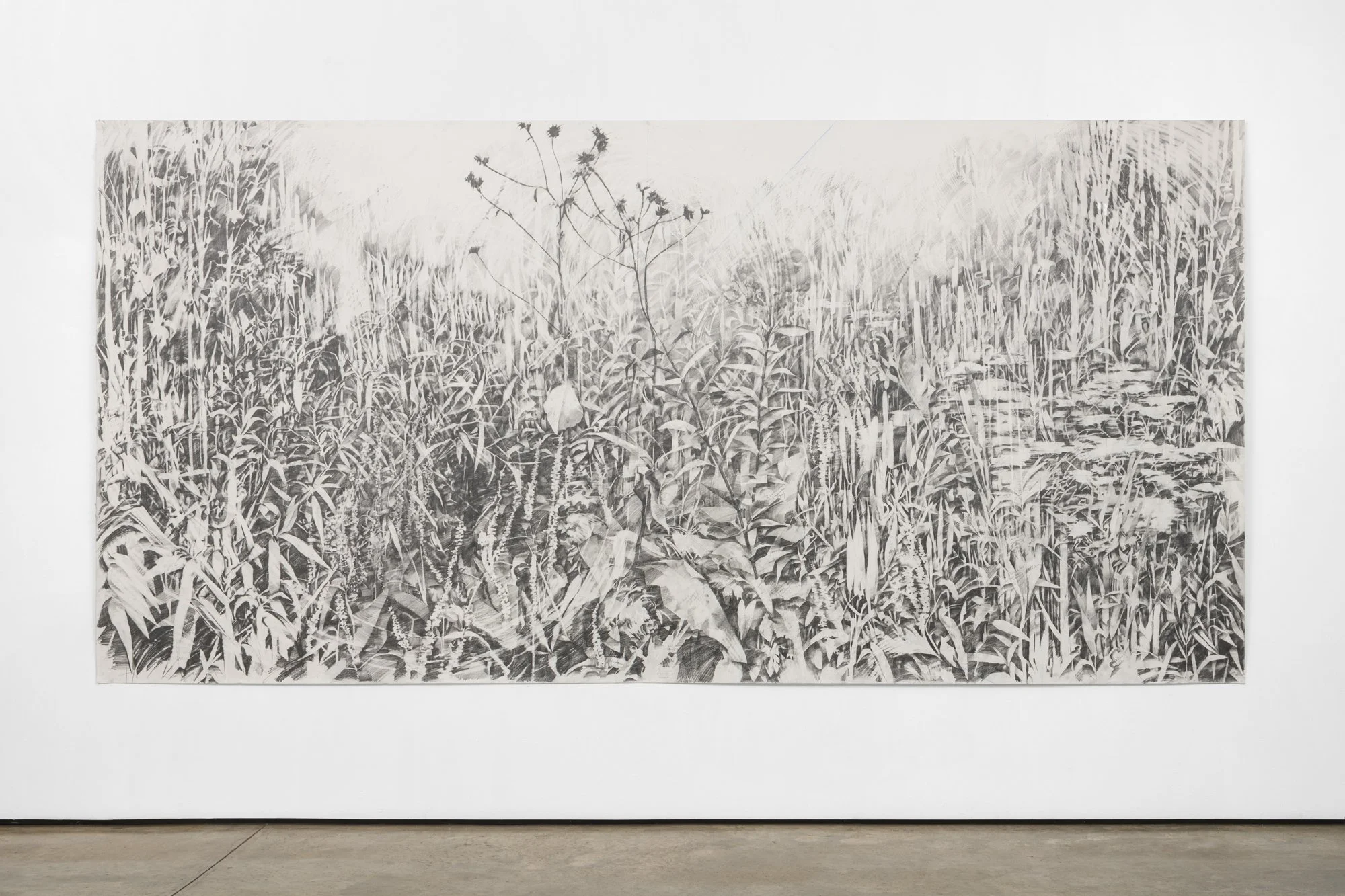 Google | graphite on paper. 72” x 144” / 183 x 366 cm