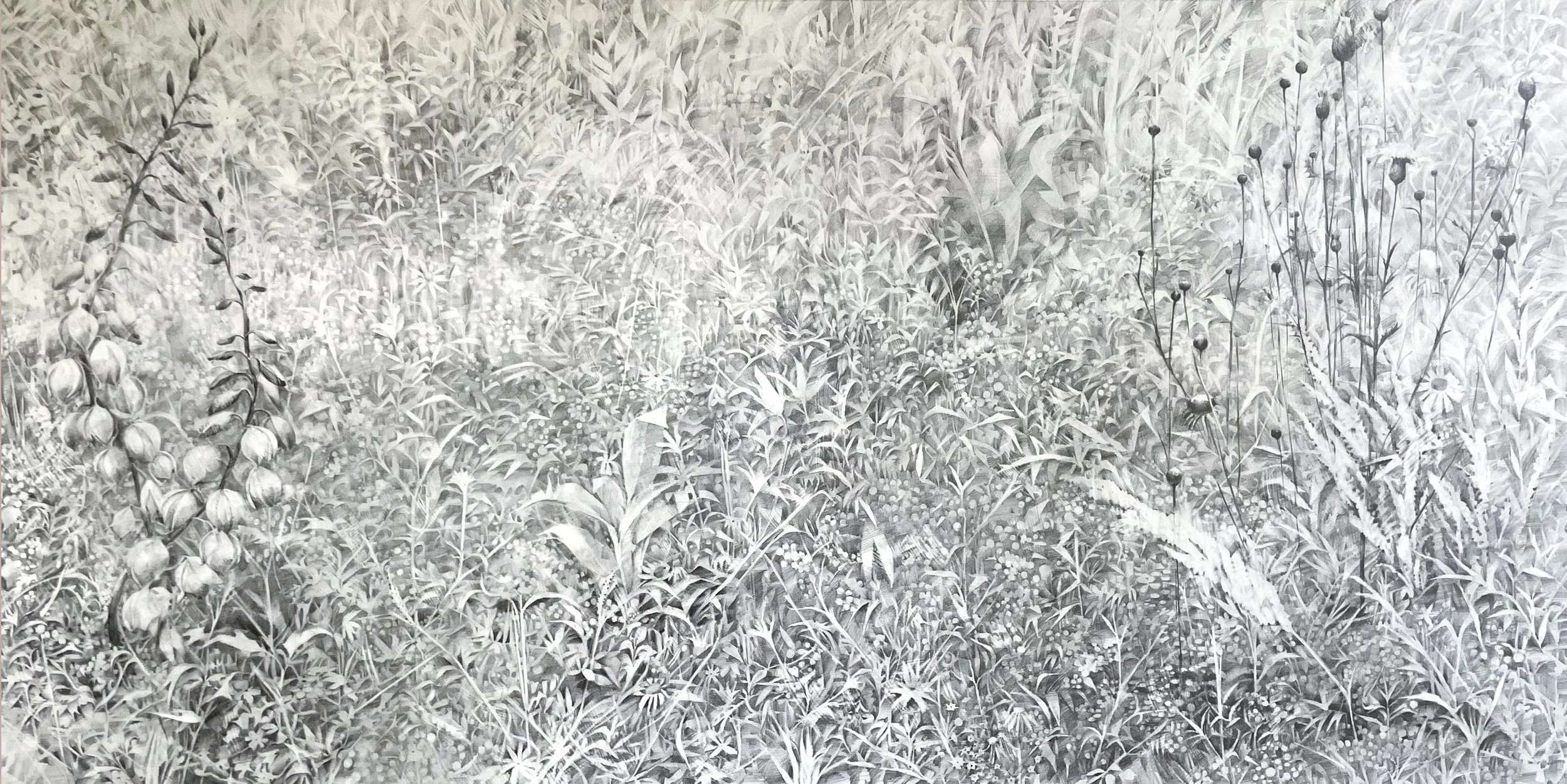 Private Client | graphite on paper. 44” x 92” / 112 x 234 cm