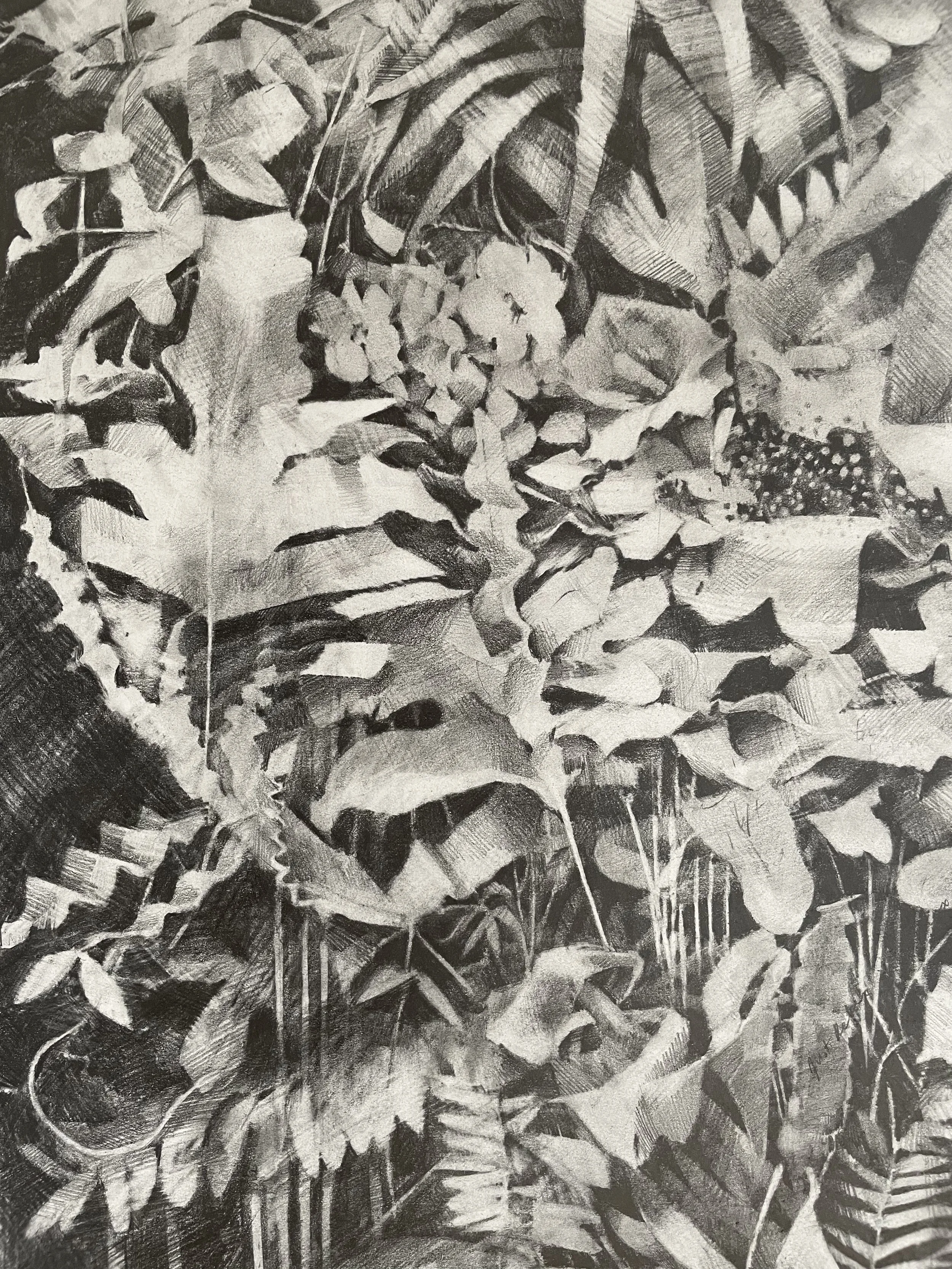 Detail: Private client | graphite and pigment on paper. 44” x 44” / 112 x 112 cm