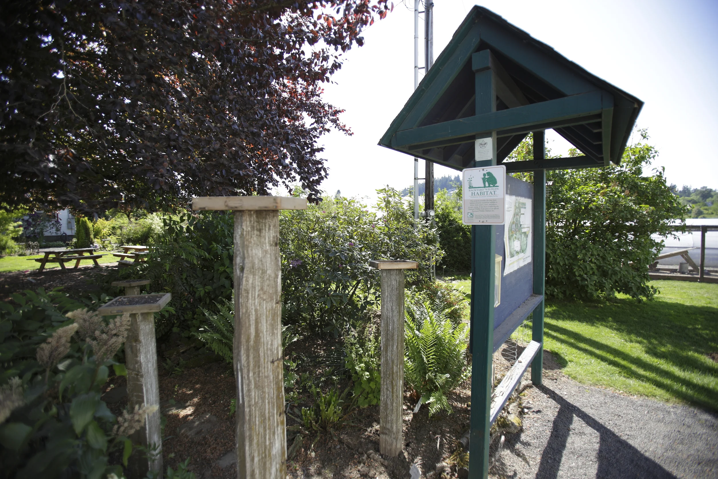 The Beech Tree's Garden, has been thoughtfully planted to attract songbirds and hummingbirds, which has earned the designation as a Backyard Bird Habitat by the National Wildlife Federation and certification as a Silver Backyard Habitat by the Audubon Society of Portland and the Columbia Land Trust (Beds 1-4). The entire Rogerson Clematis Garden is one of the few wholly organic ornamental gardens in a public park in Oregon.