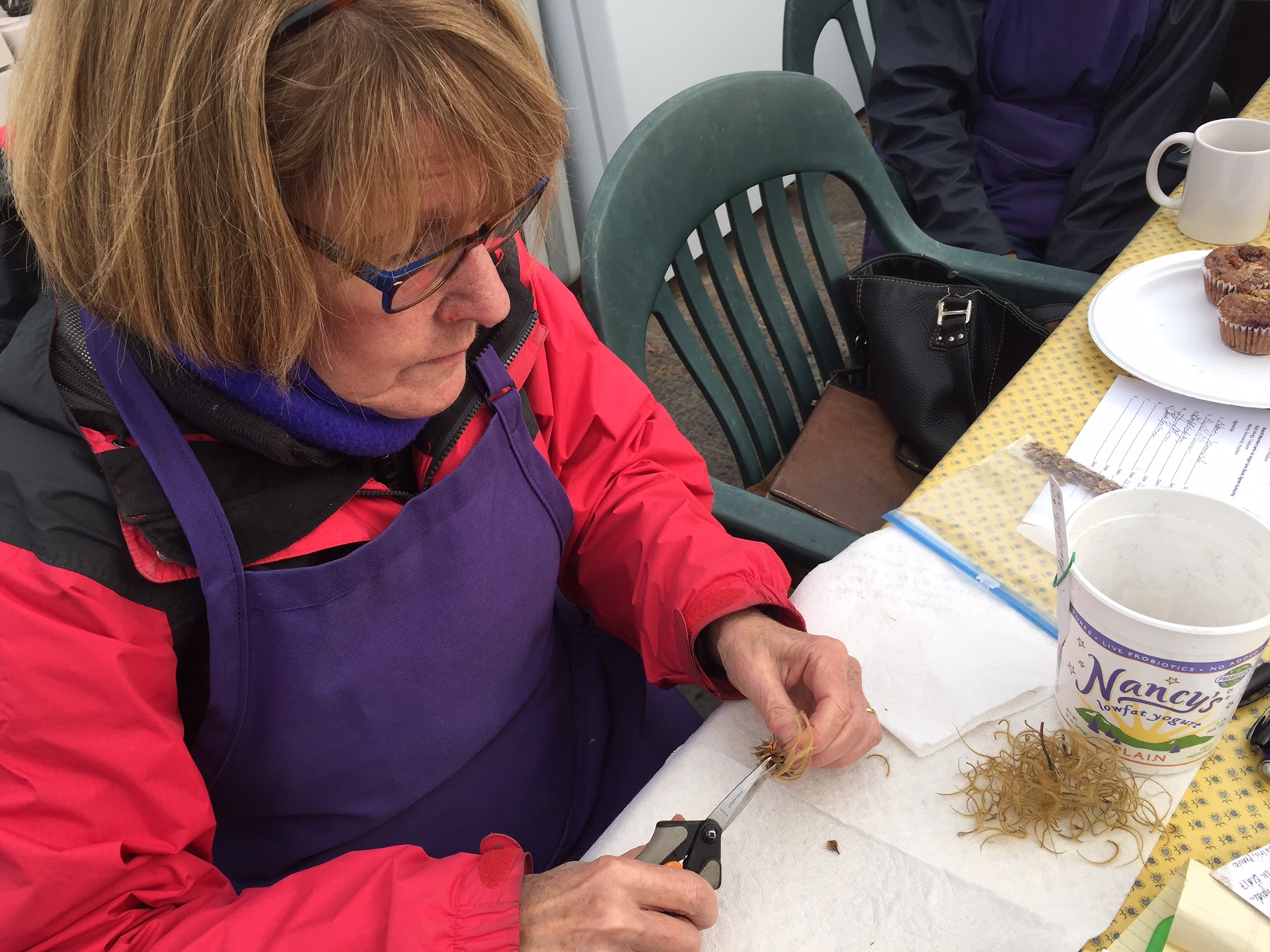 It isn't all brute labor. Here's Marilyn Norris, FRCC's 2016 Sharon Kaito Volunteer of the Year, cleaning and sorting clematis seed.