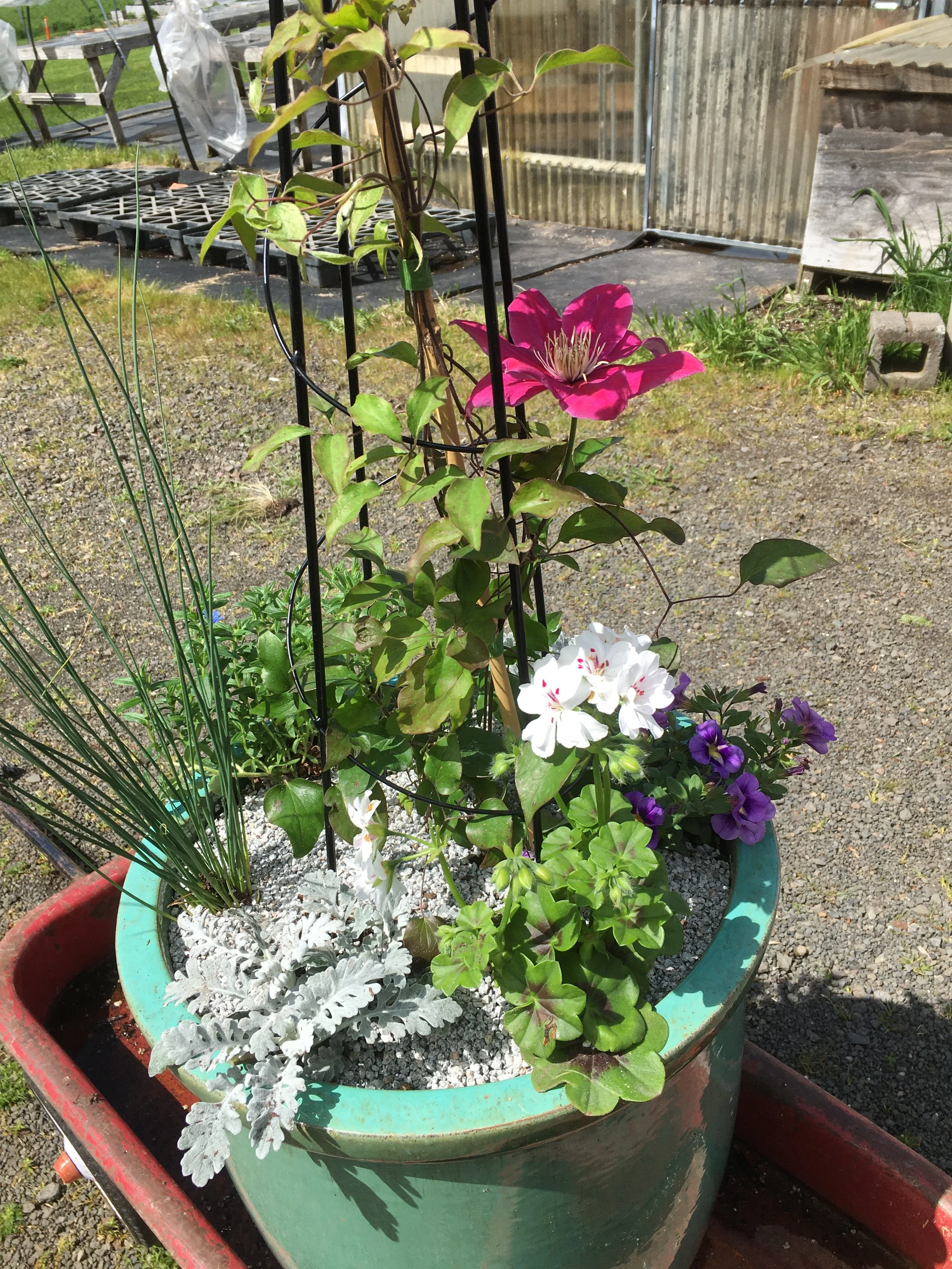 Celebrate Your Mother at the Garden