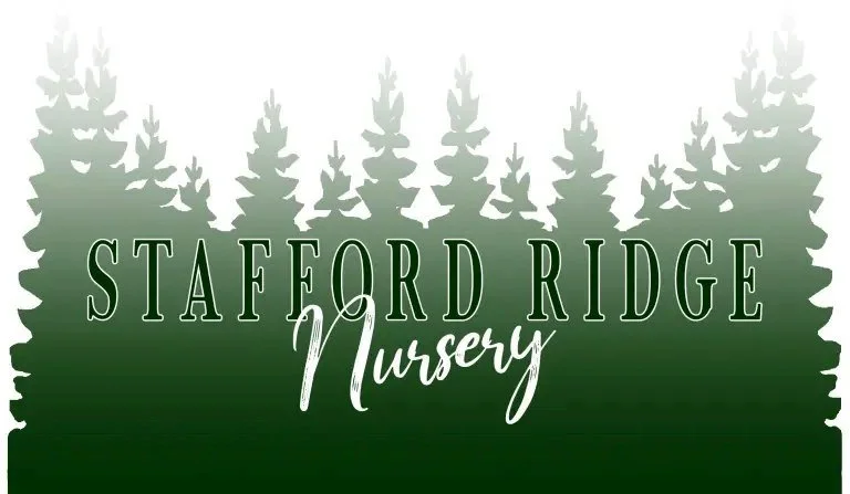Stafford-Ridge-Nursery-Logo.jpg