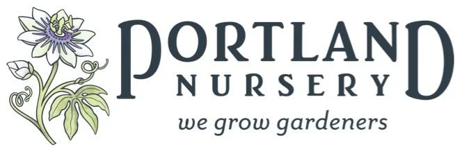 Portland Nursery web.jpg