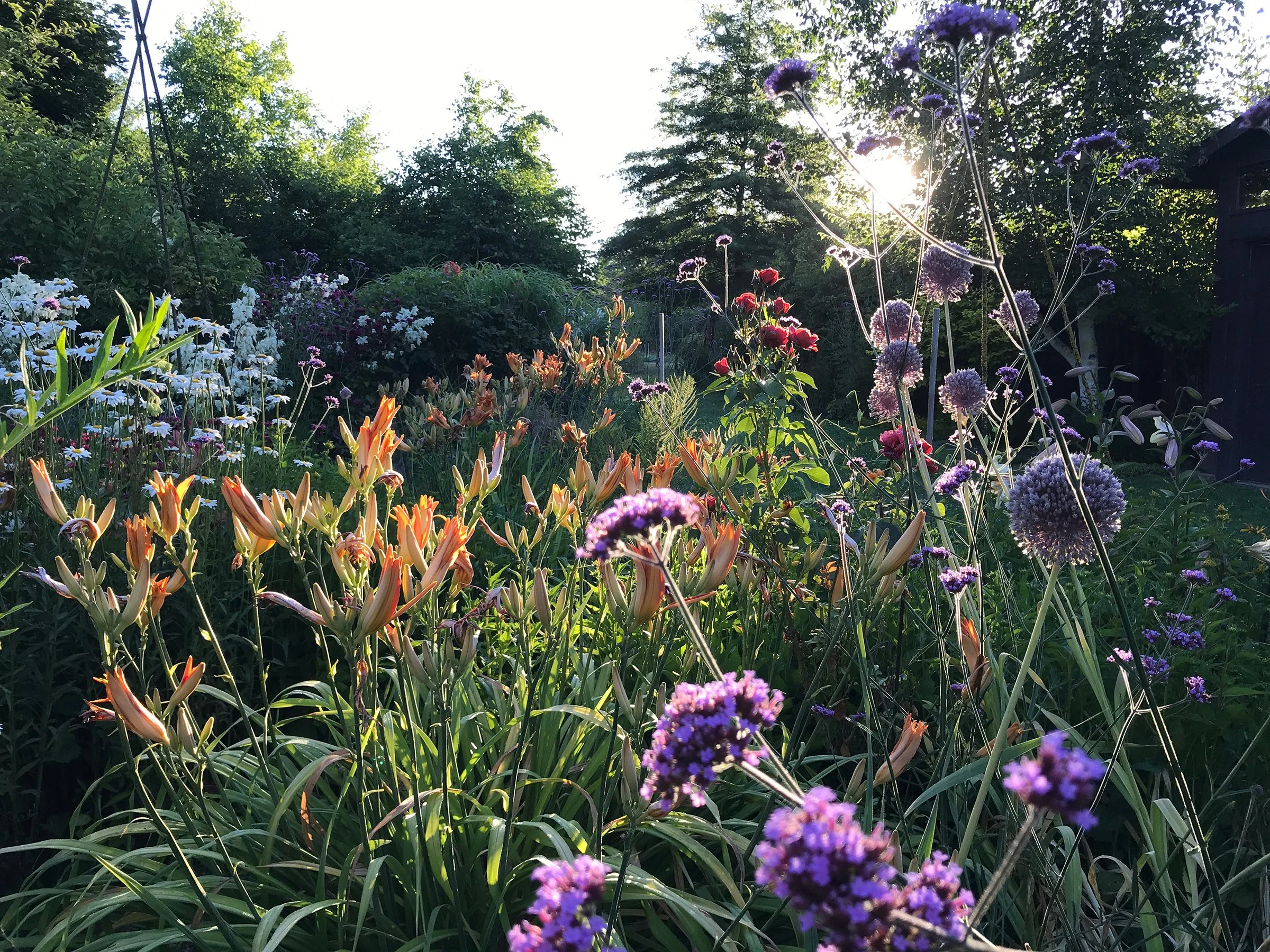 WisnerOrloff-garden4-birdbathgarden-horizontal.jpg