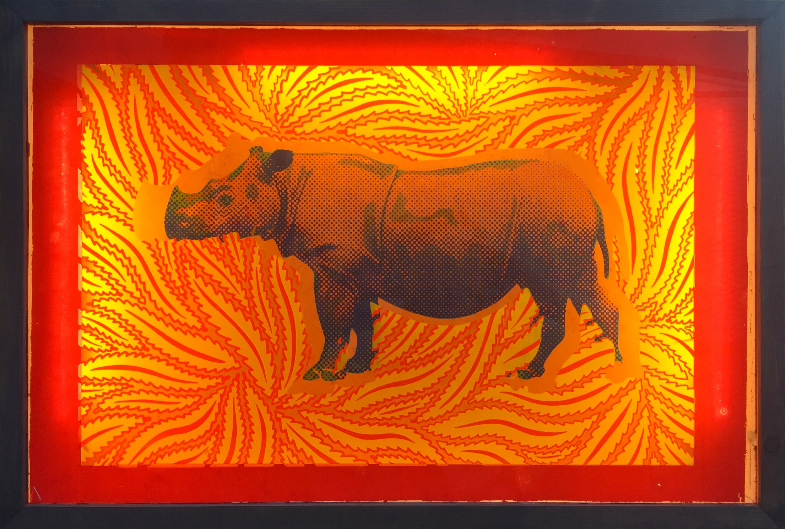 Sumatran Rhino (2018)