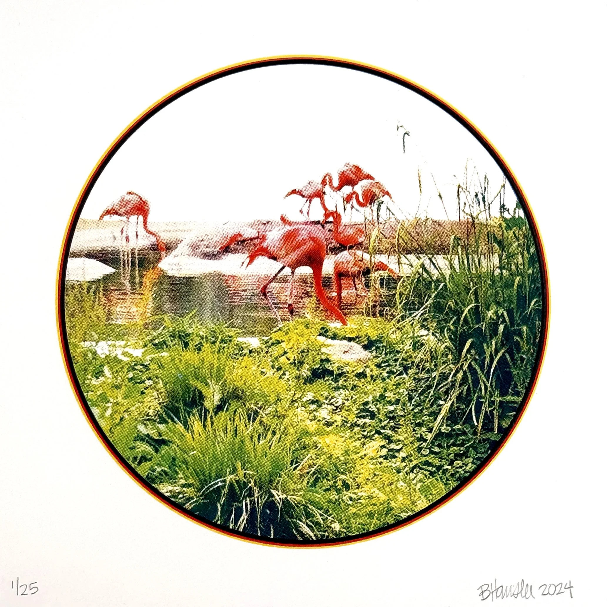 Untitled (Flamingoes) (2024) (Copy)