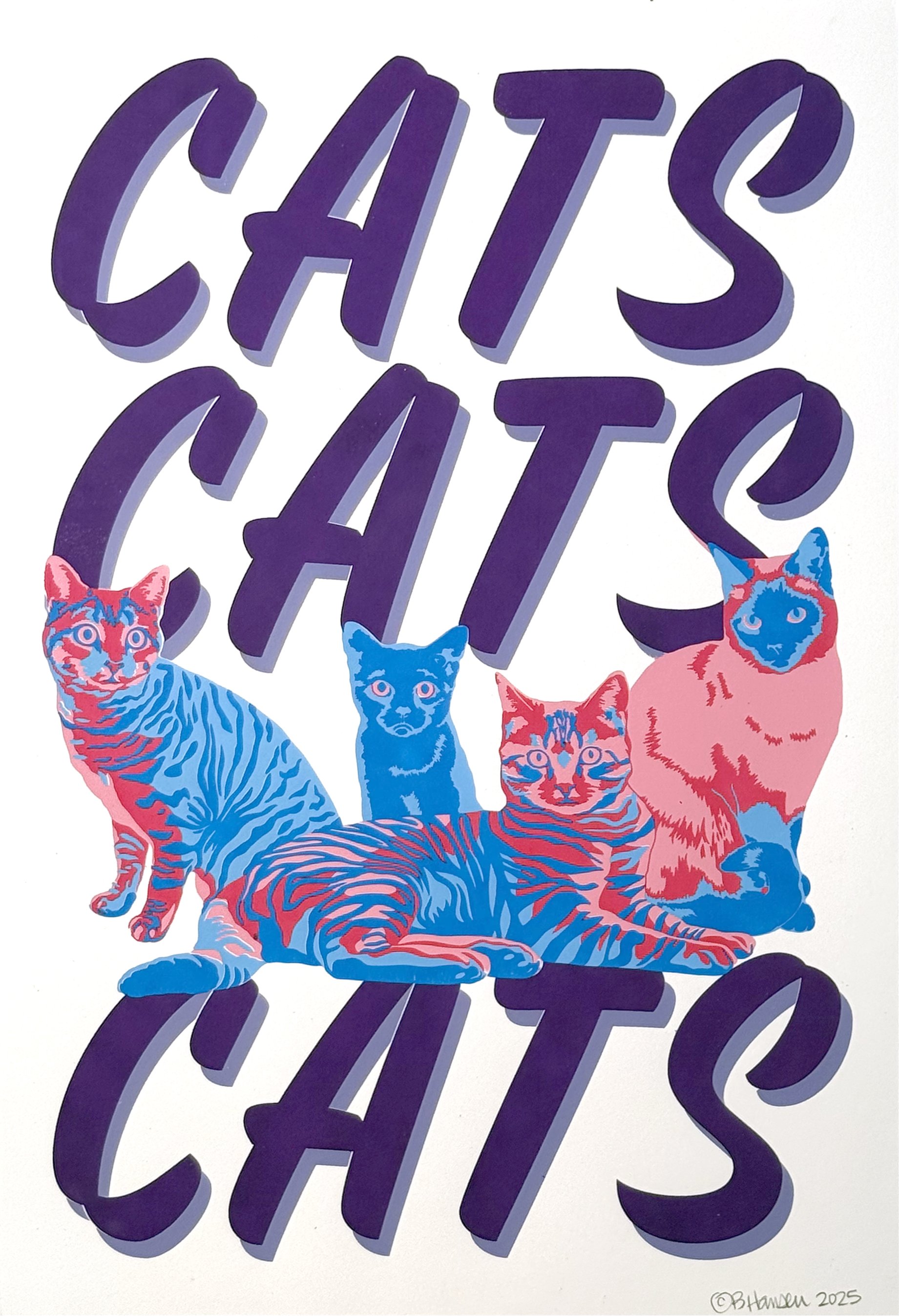 CatsCatsCats (2025)
Screen print
12"x18"
Open Edition