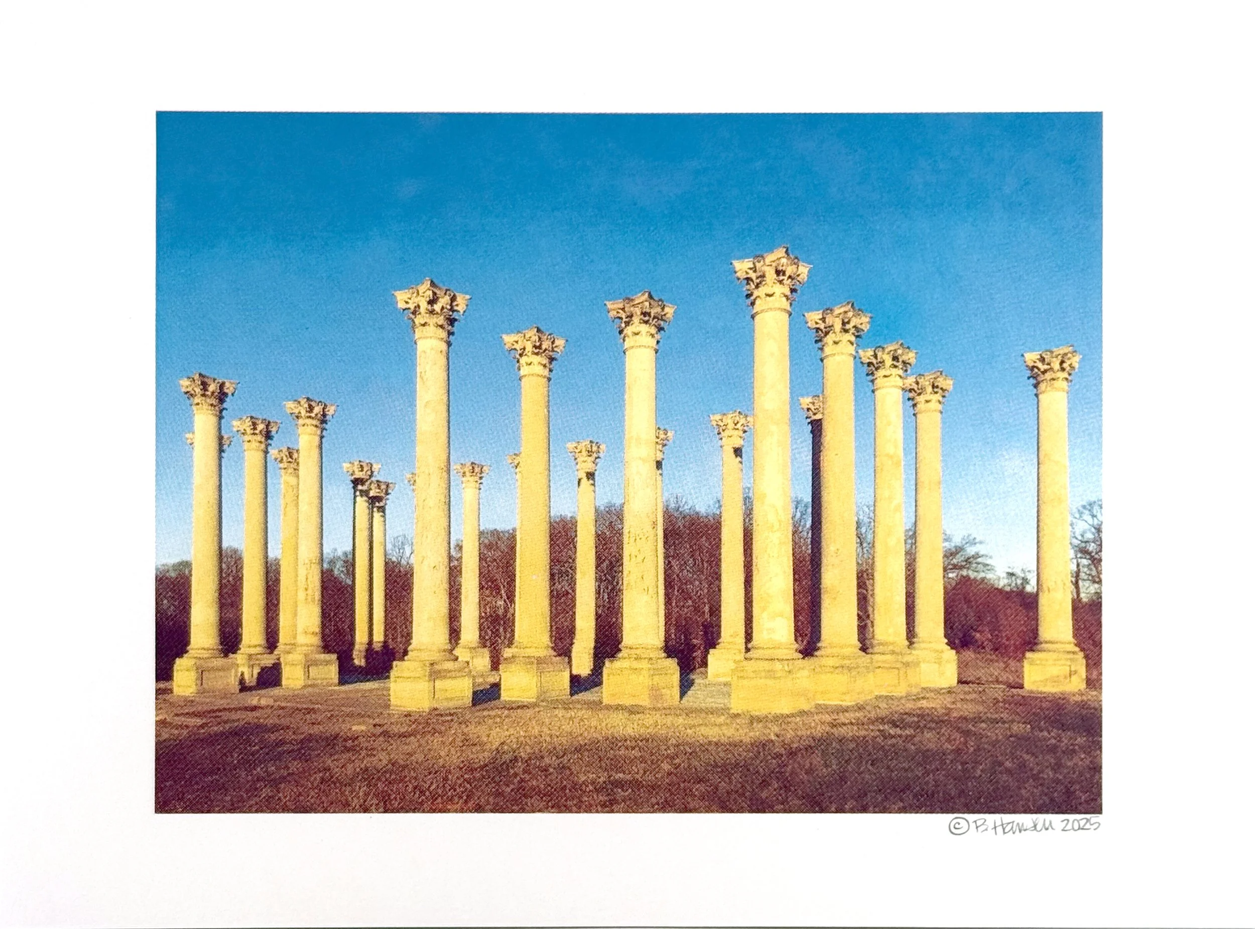 Capitol Columns at the National Arboretum (2024)
Screen print
12"x16"
Open Edition