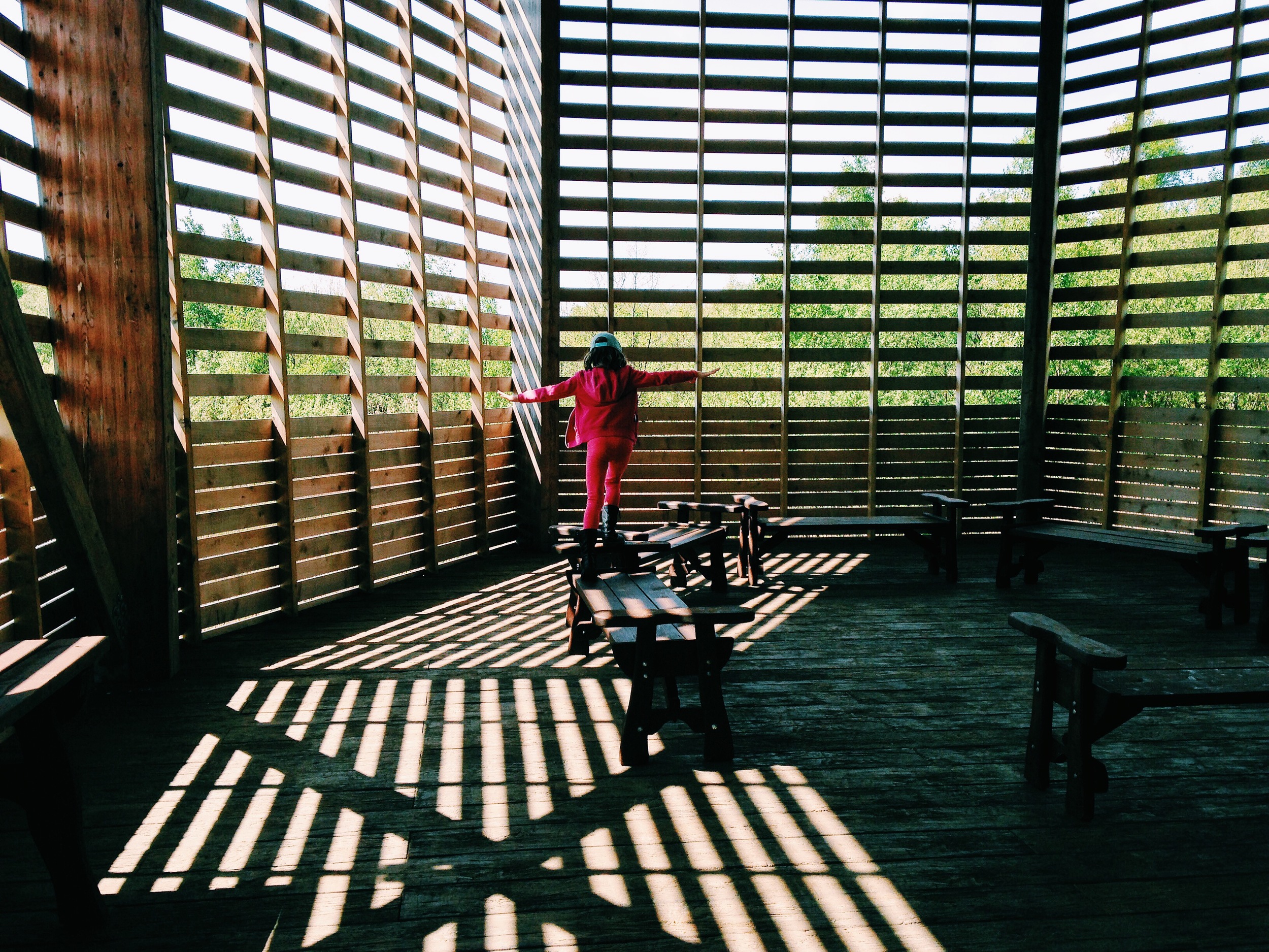 At the Osprey Centre.