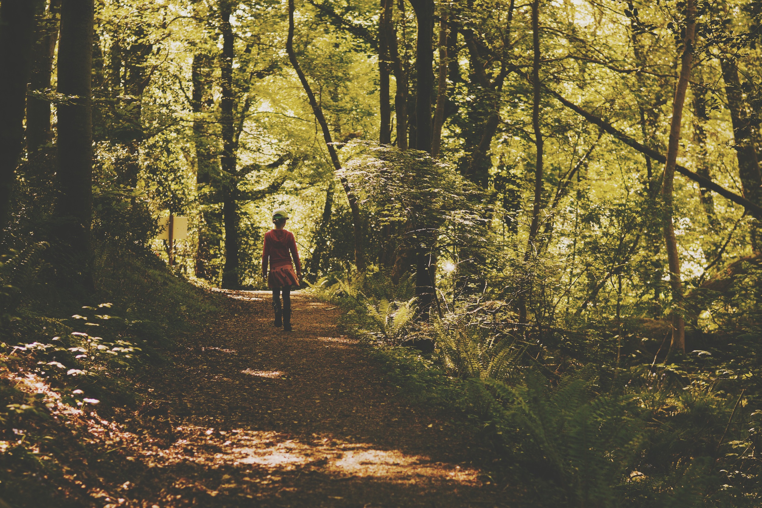 Walk in the woods