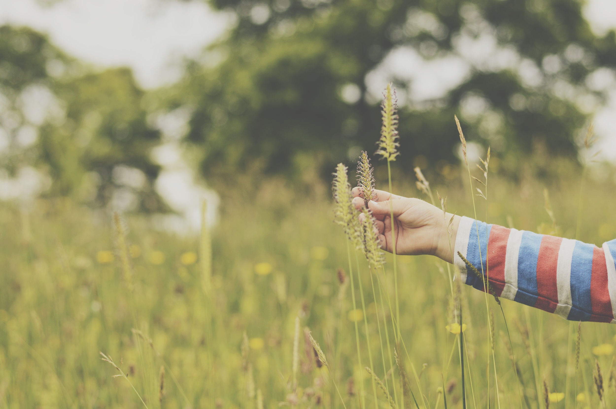 Exploring the meadow. 