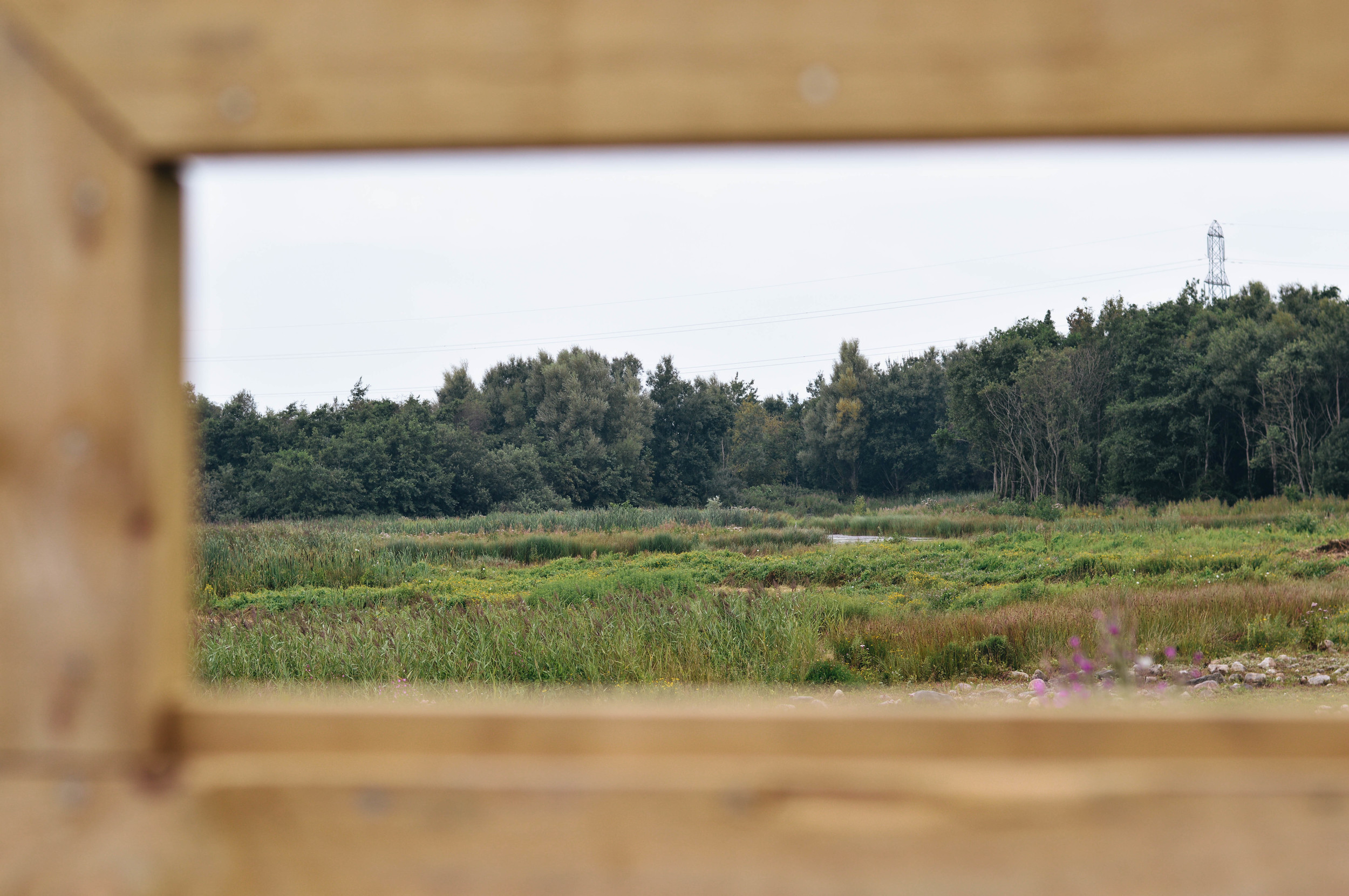 The view beyond the hide.