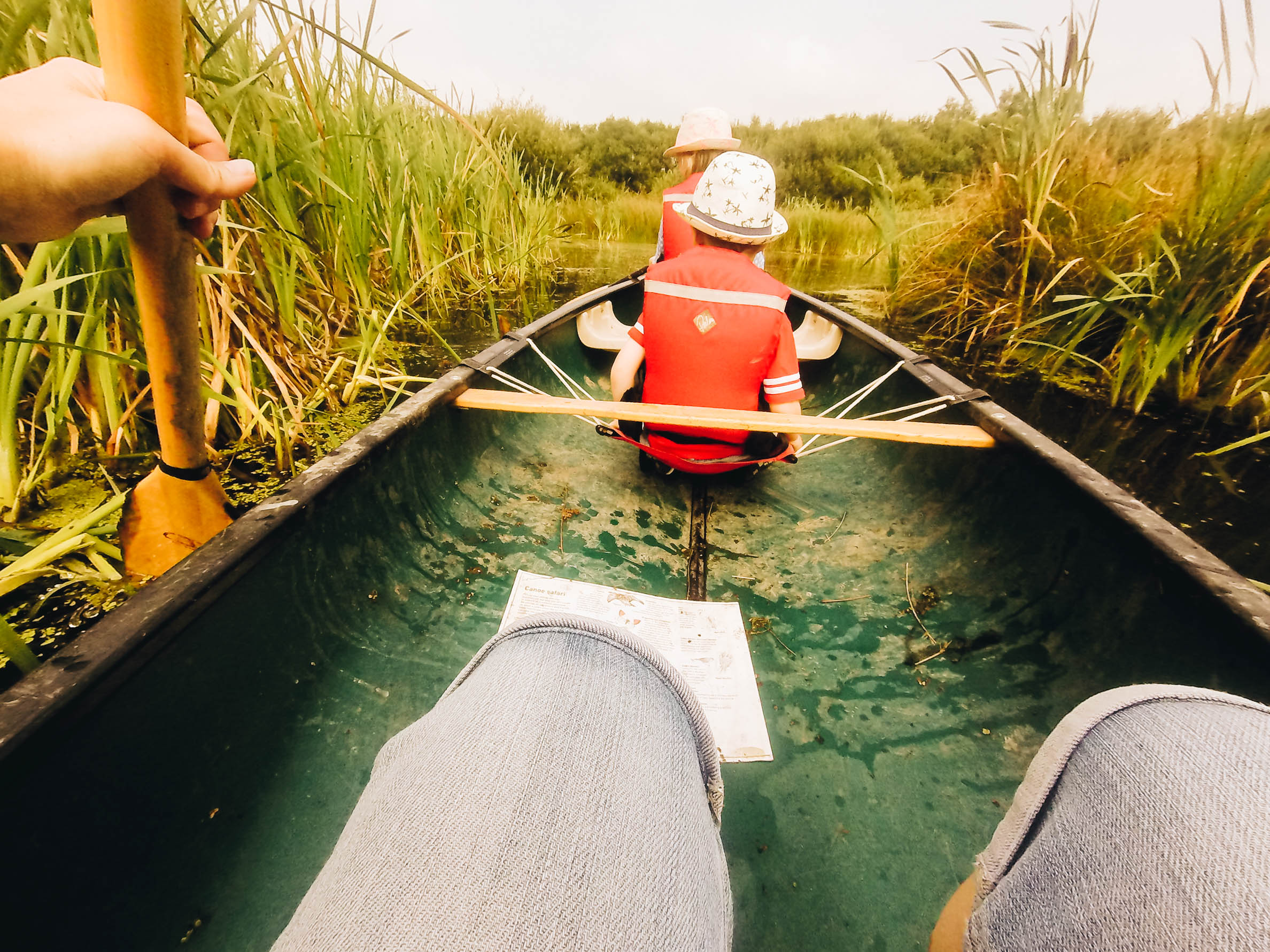 Canoeing. (Taken with my Go Pro)